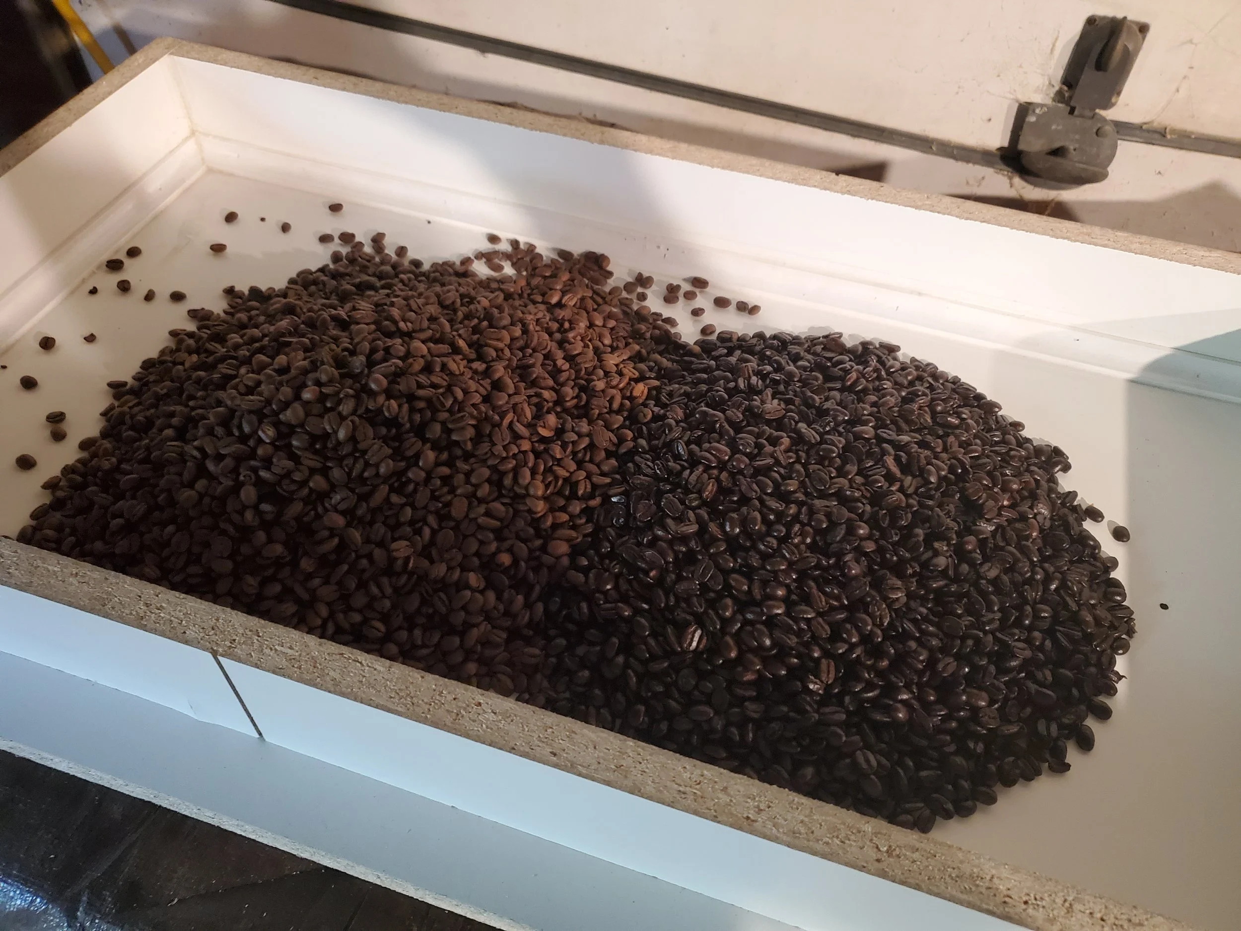 Started with light roast and dark roast coffee beans