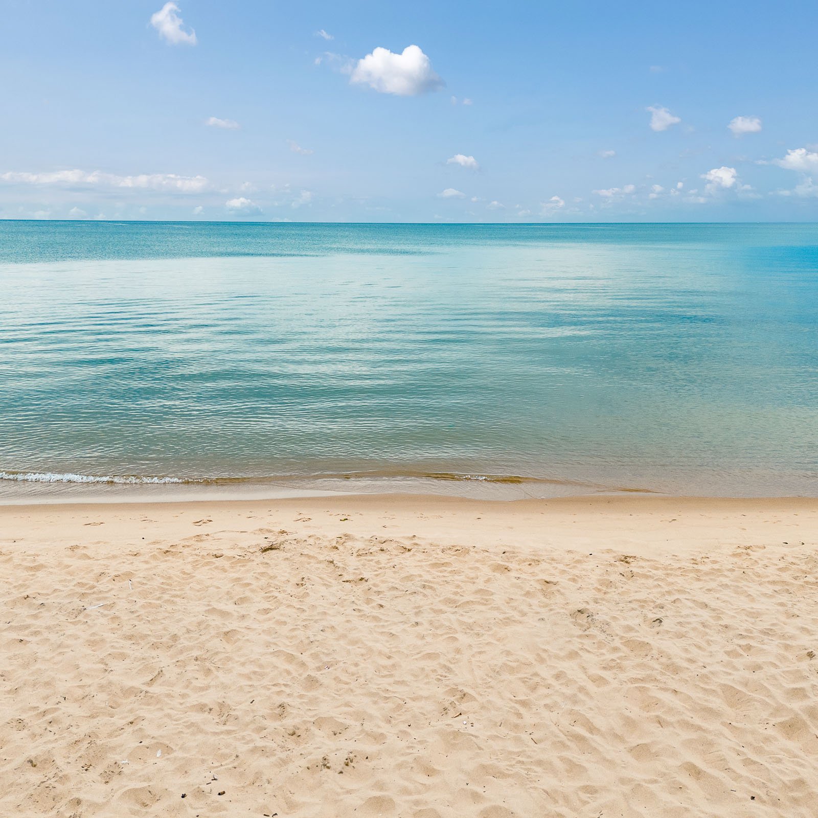 Vacation Rental airBNBDJI_20230814123659_0804_D.jpg