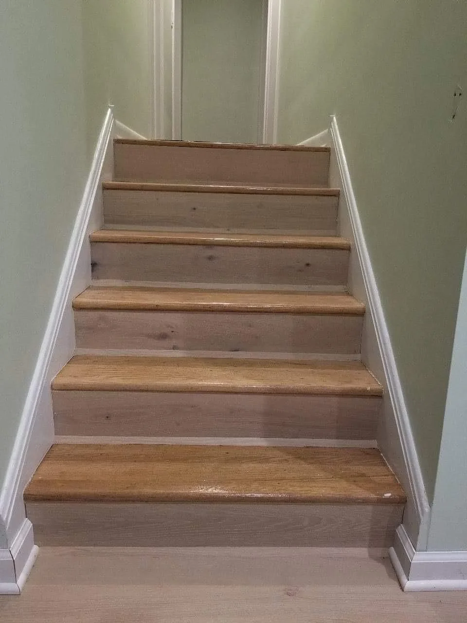 WhatsApp Image 2025-08-11 at 00.03.07.jpeg