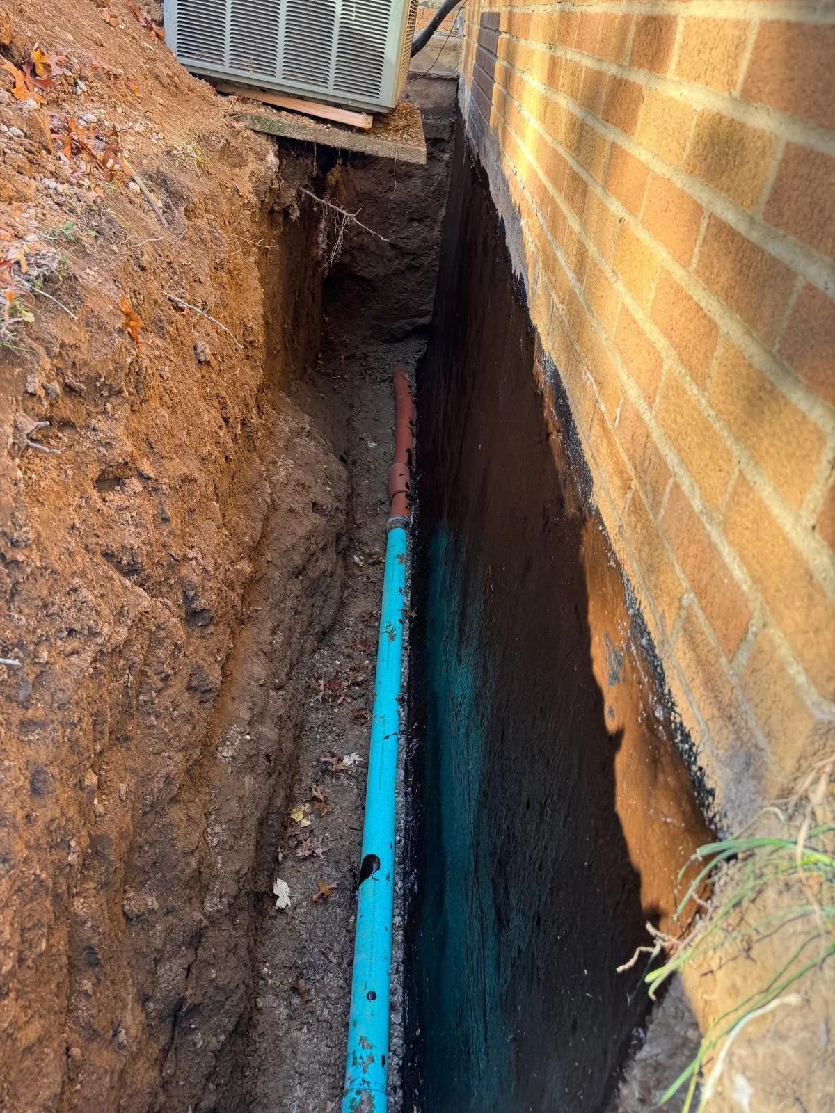 WhatsApp Image 2025-08-11 at 01.15.32.jpeg