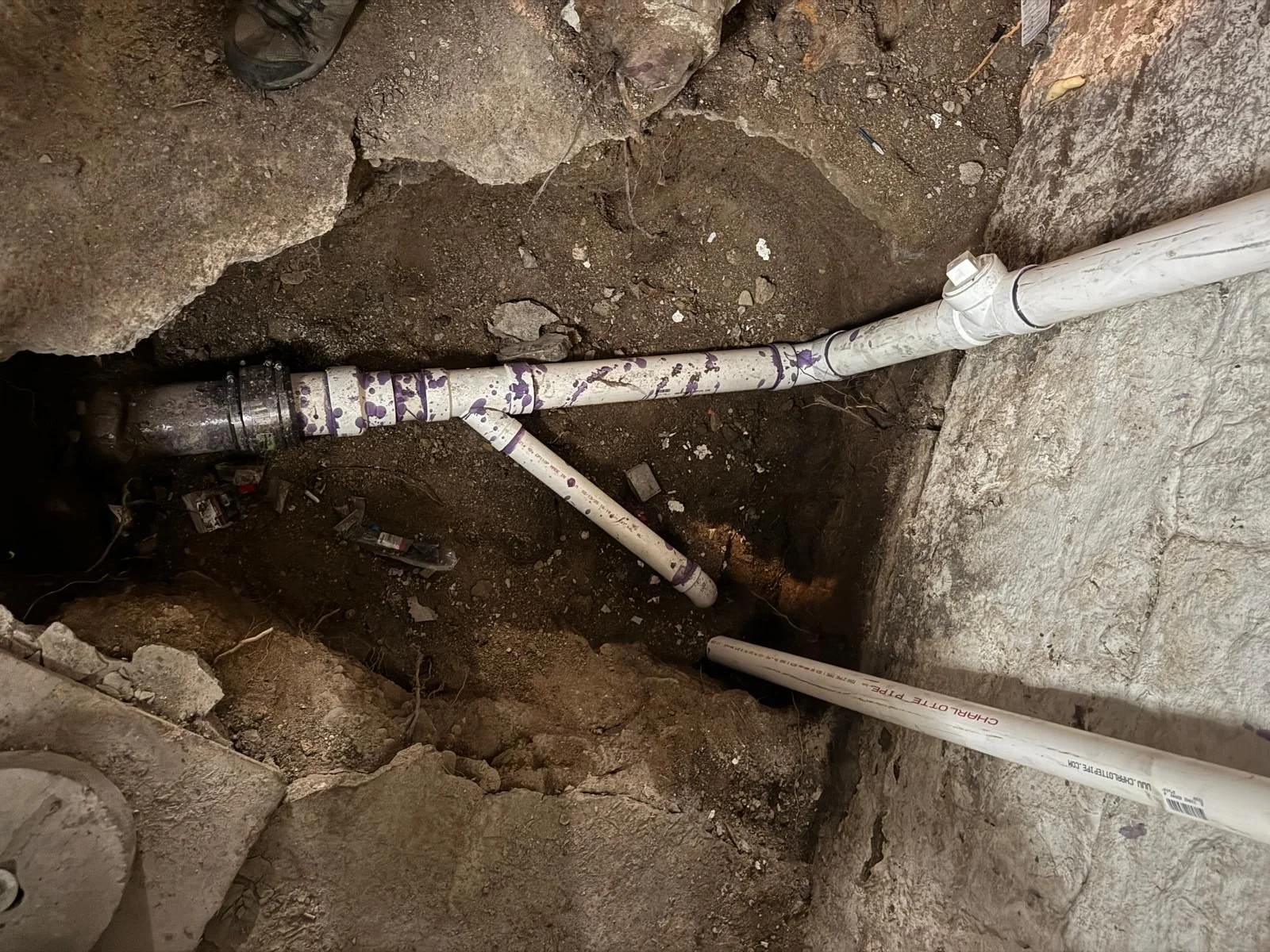 WhatsApp Image 2025-08-10 at 17.56.17 (16).jpeg