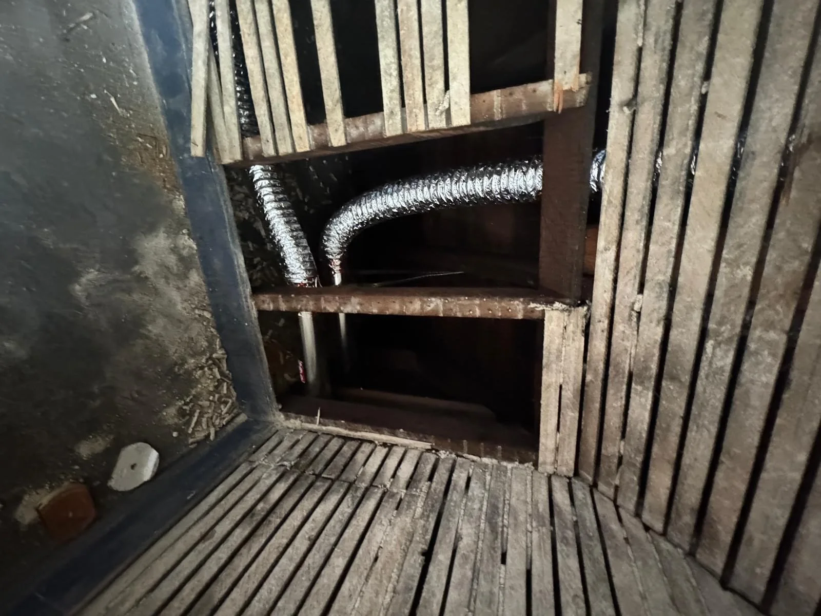 WhatsApp Image 2025-08-10 at 17.56.17 (15).jpeg