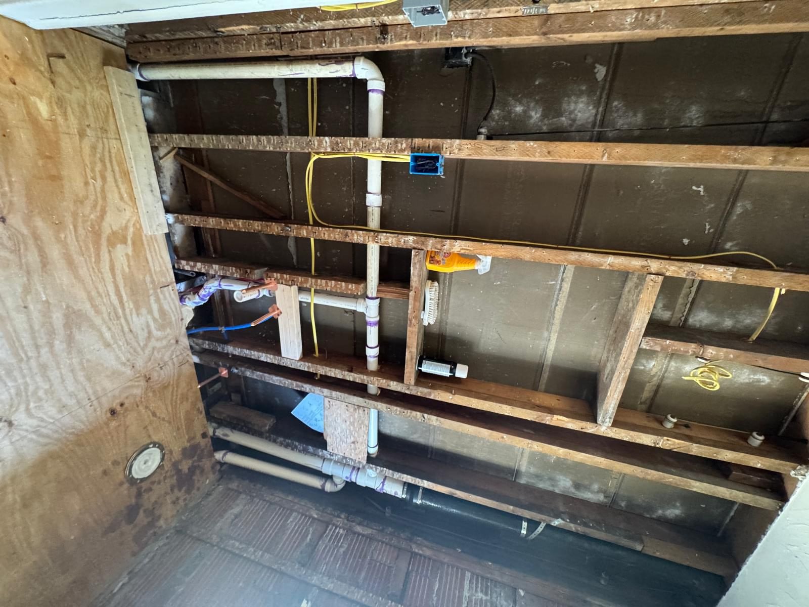 WhatsApp Image 2025-08-10 at 17.56.15 (1).jpeg