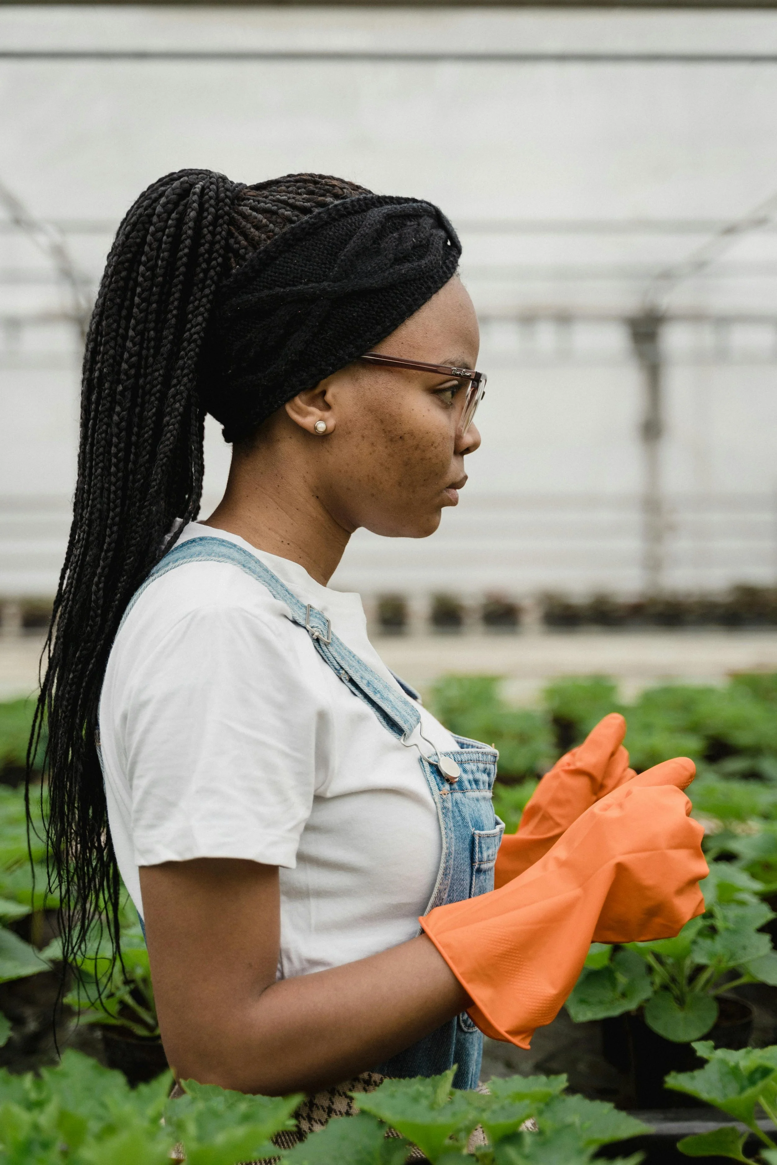 When small farms band together, communities eat better