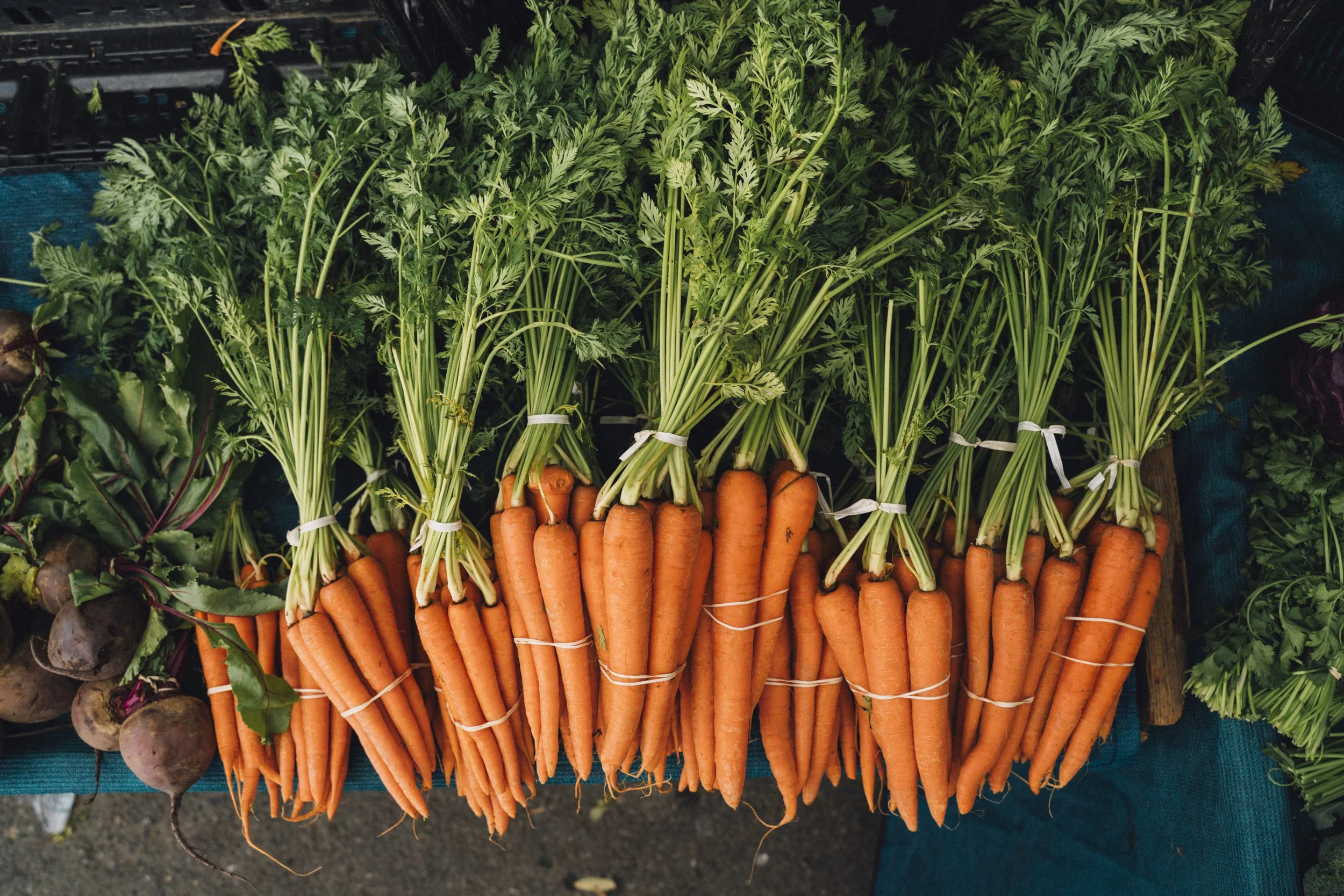 Fresh carrots with green tops on a market display.