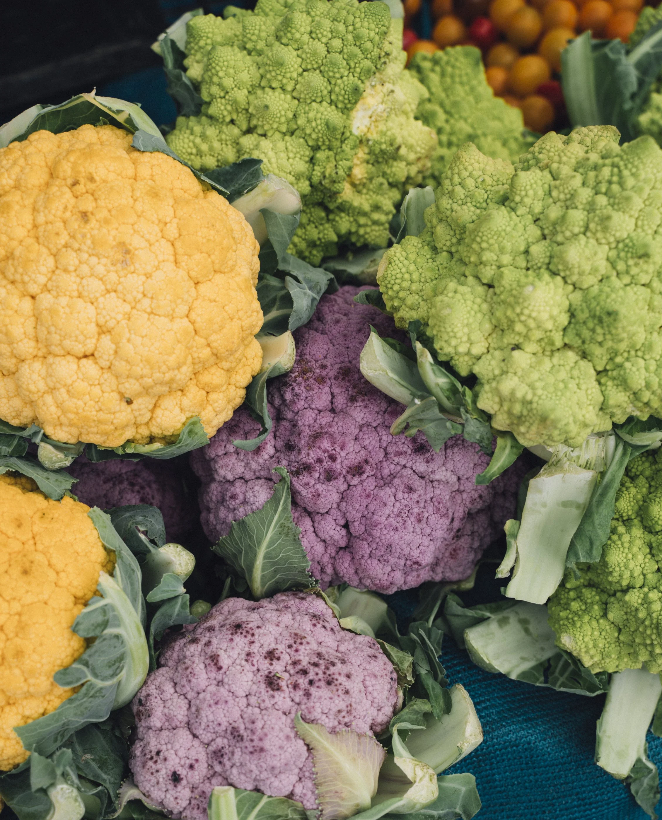 Arranged colorful cauliflowers, including yellow, purple, and green, on a dark surface.