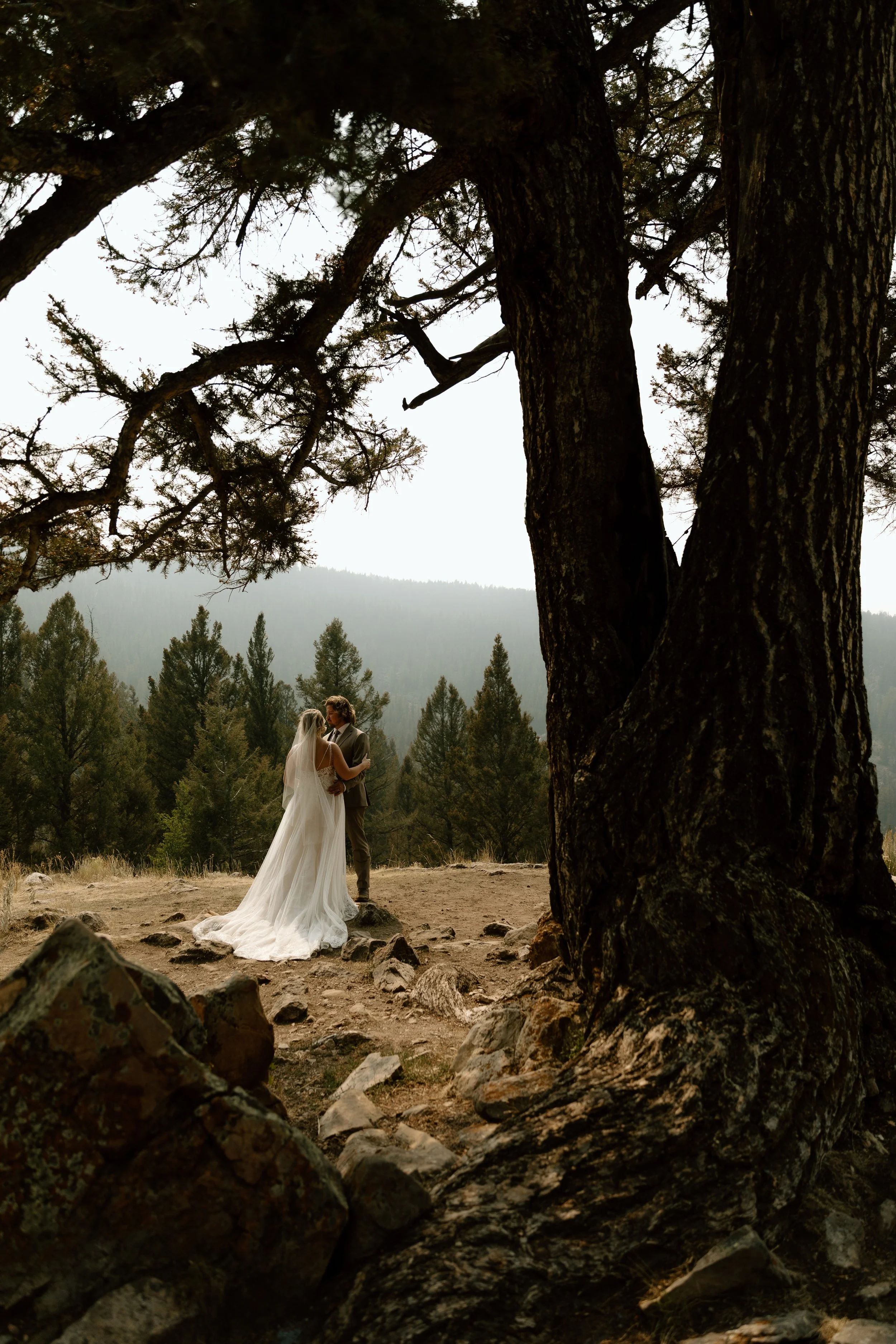 A bride and groom sharing an intimate moment outdoors, framed by a large pine tree with rocky ground and a forested backdrop.