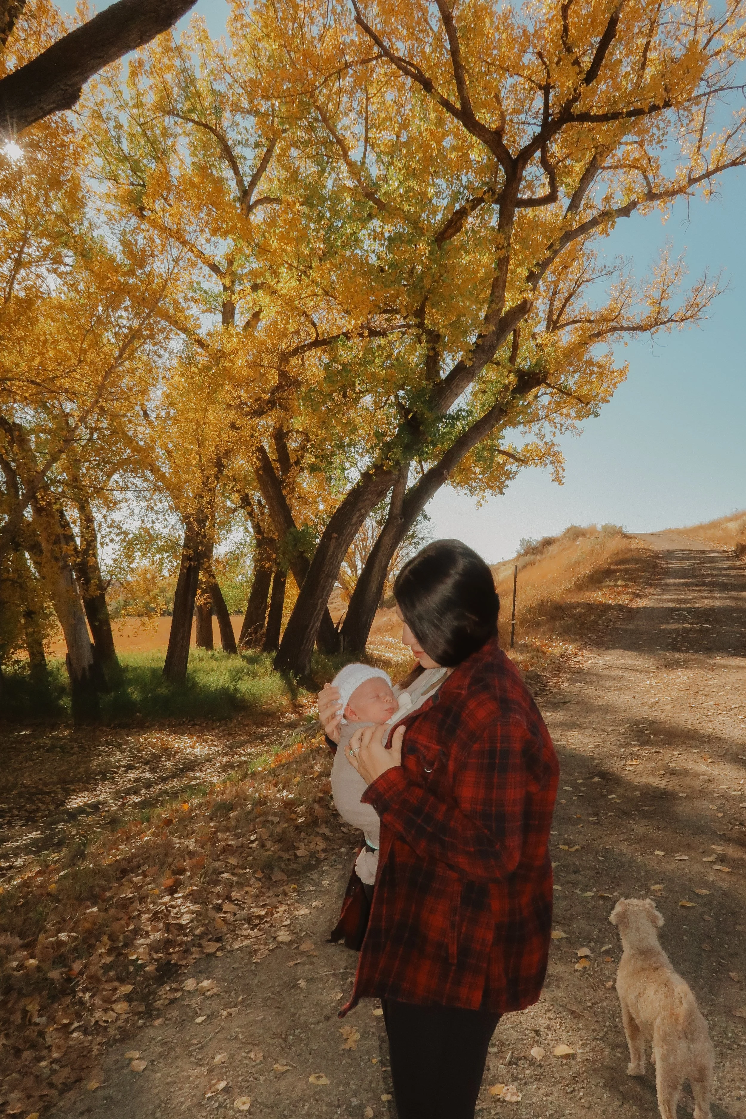 A woman holding a baby outdoors on a fall day with orange and yellow leaves on trees and a dog walking nearby.