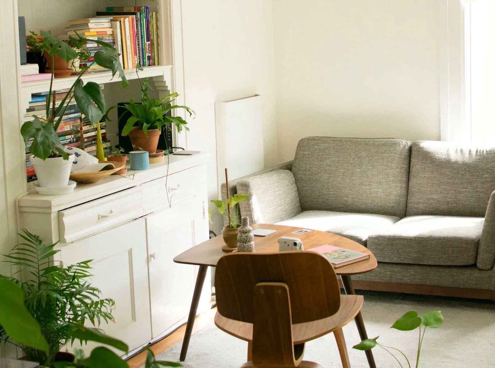 A cozy living room with a gray sofa, a wooden table with a potted plant, bookshelves filled with books, and various potted plants on a white cabinet. Natural light coming through a window on the right.