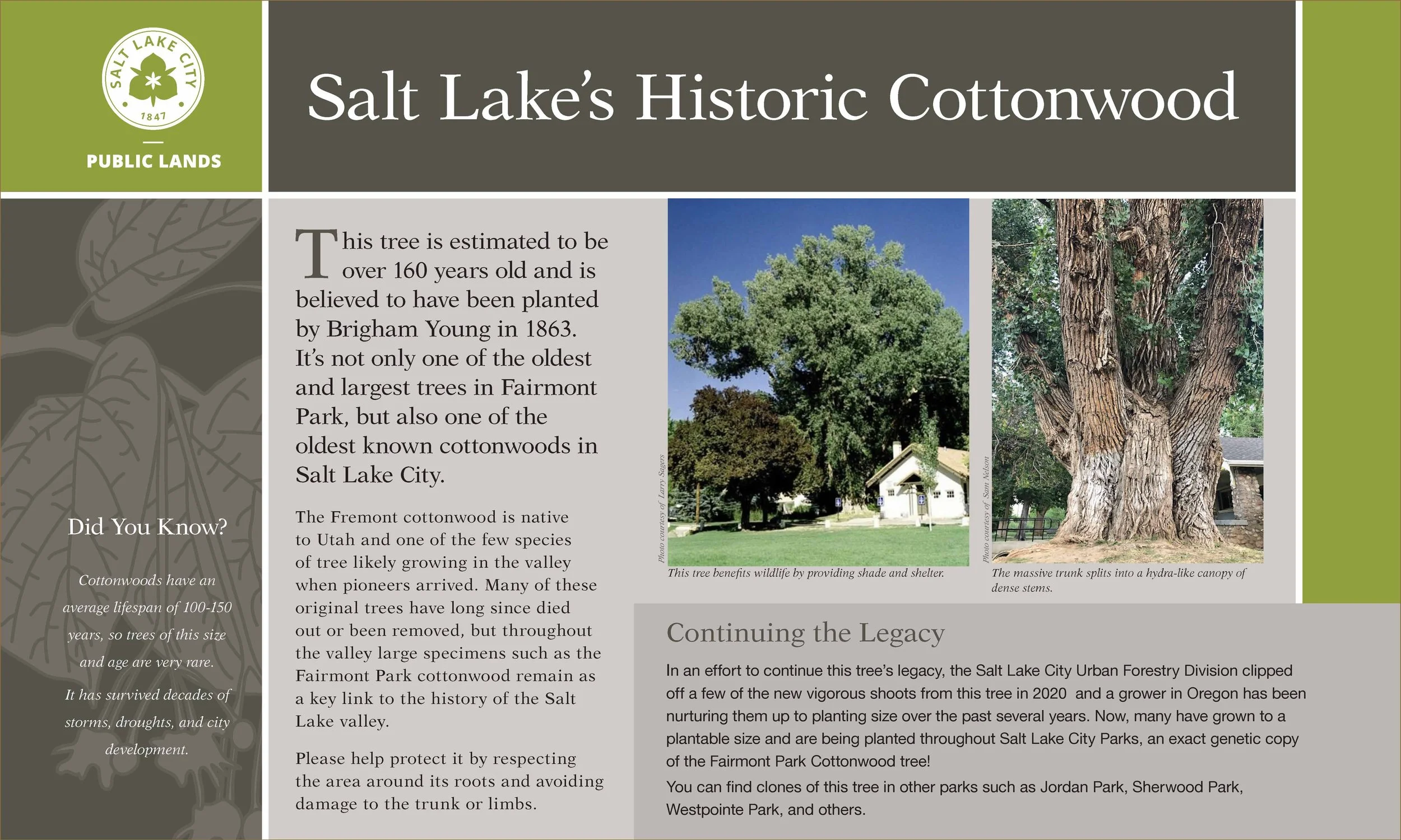 Interpretive Signage