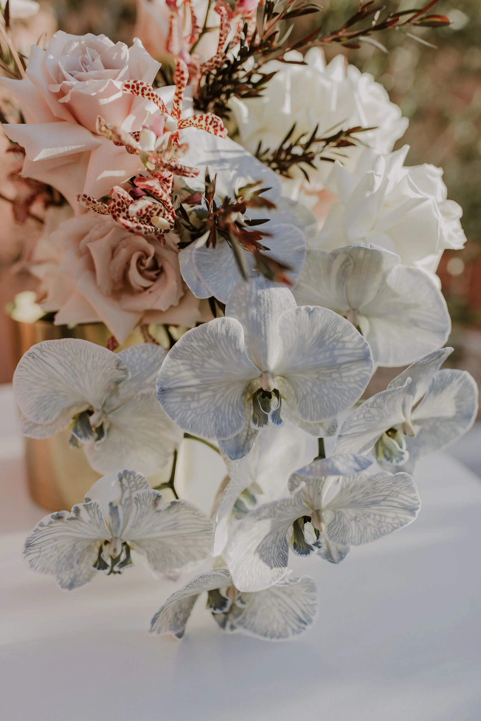 Squarespace_Vikki + Ben-65.jpg