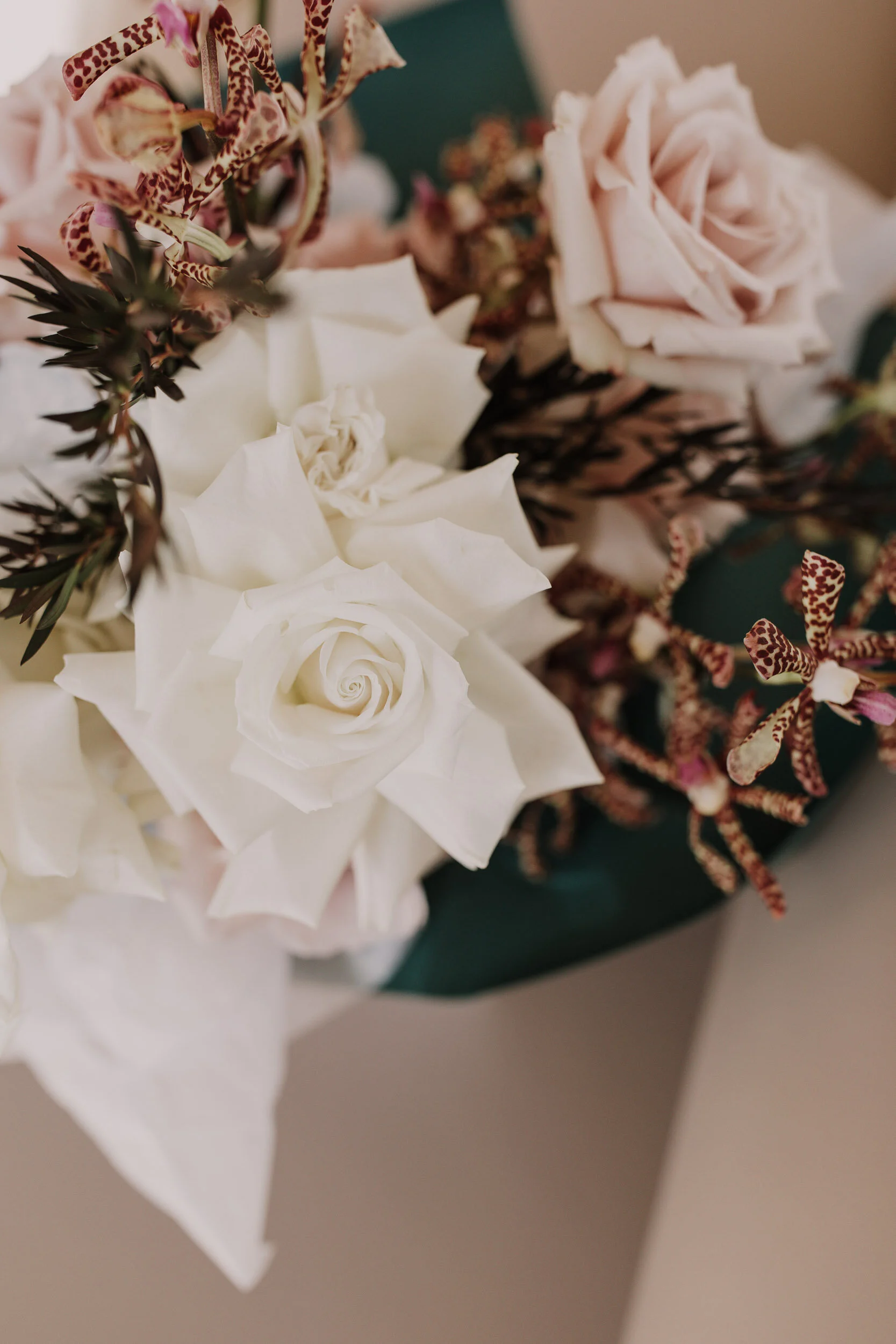 Squarespace_Vikki + Ben-13.jpg