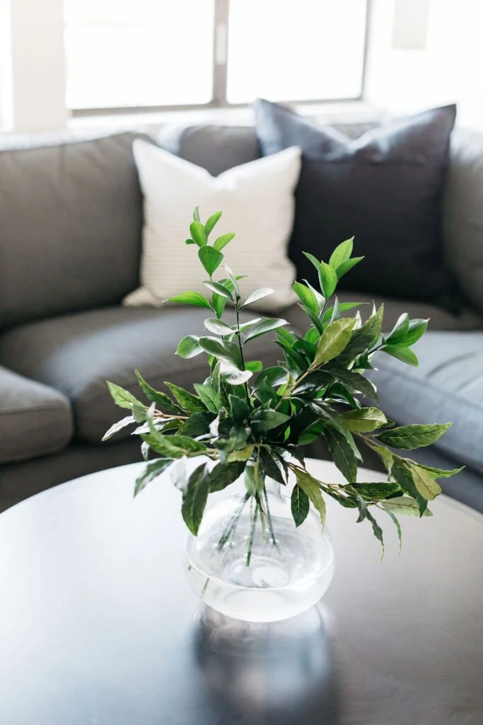 Birdie Rose bunkhouse 5.jpg