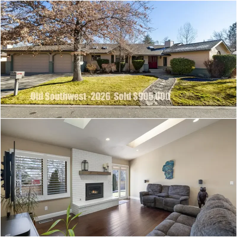 collage+1.+ 2png.webp