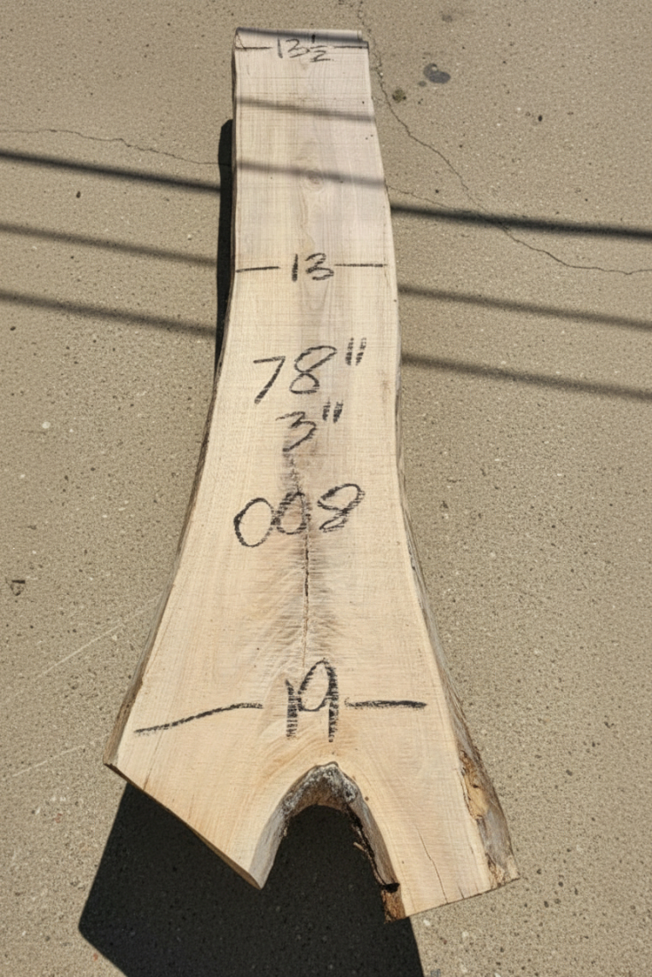 2025-12-04_12-58-10 (1).png