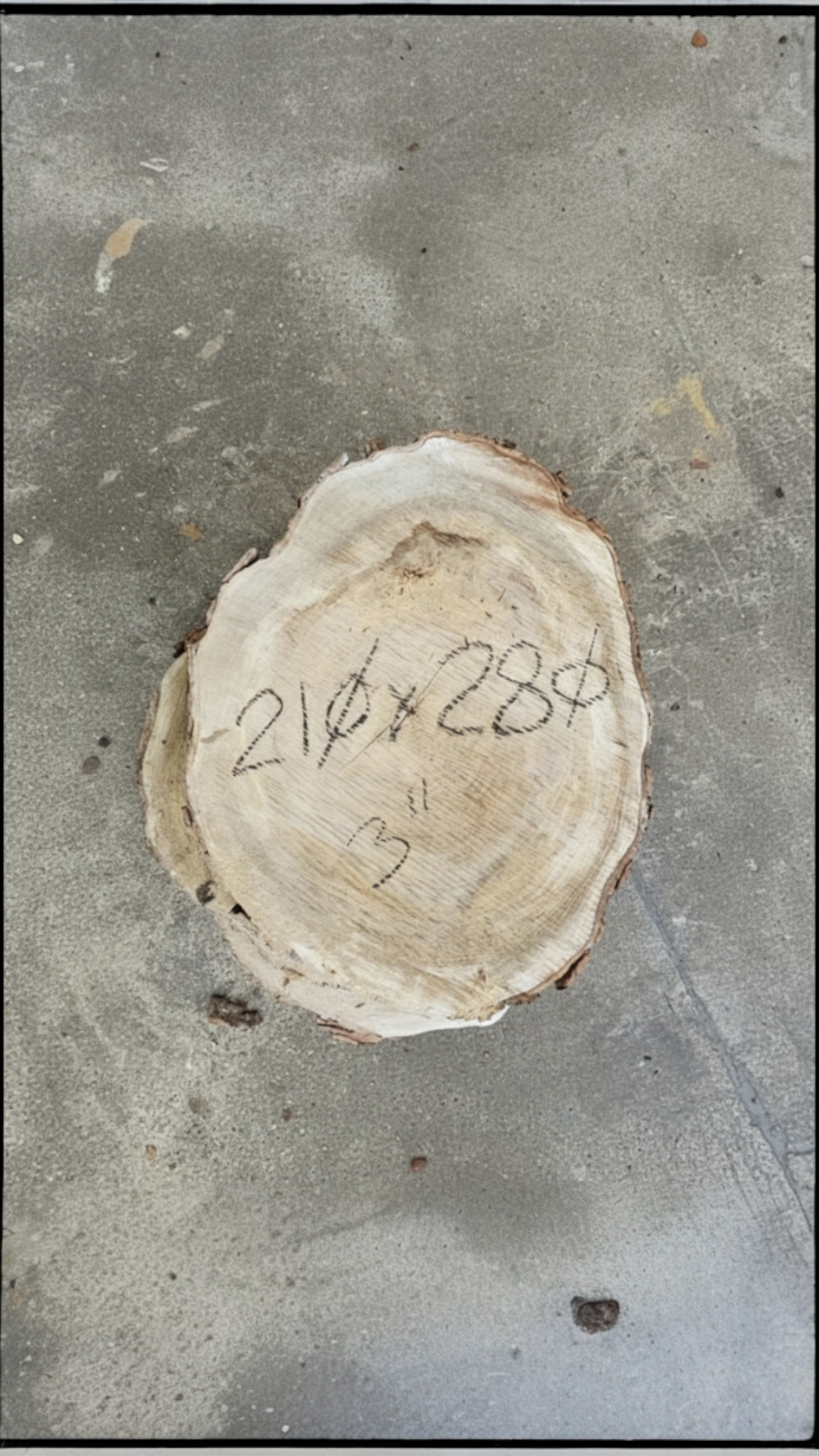 2025-12-05_13-58-04 (1).png