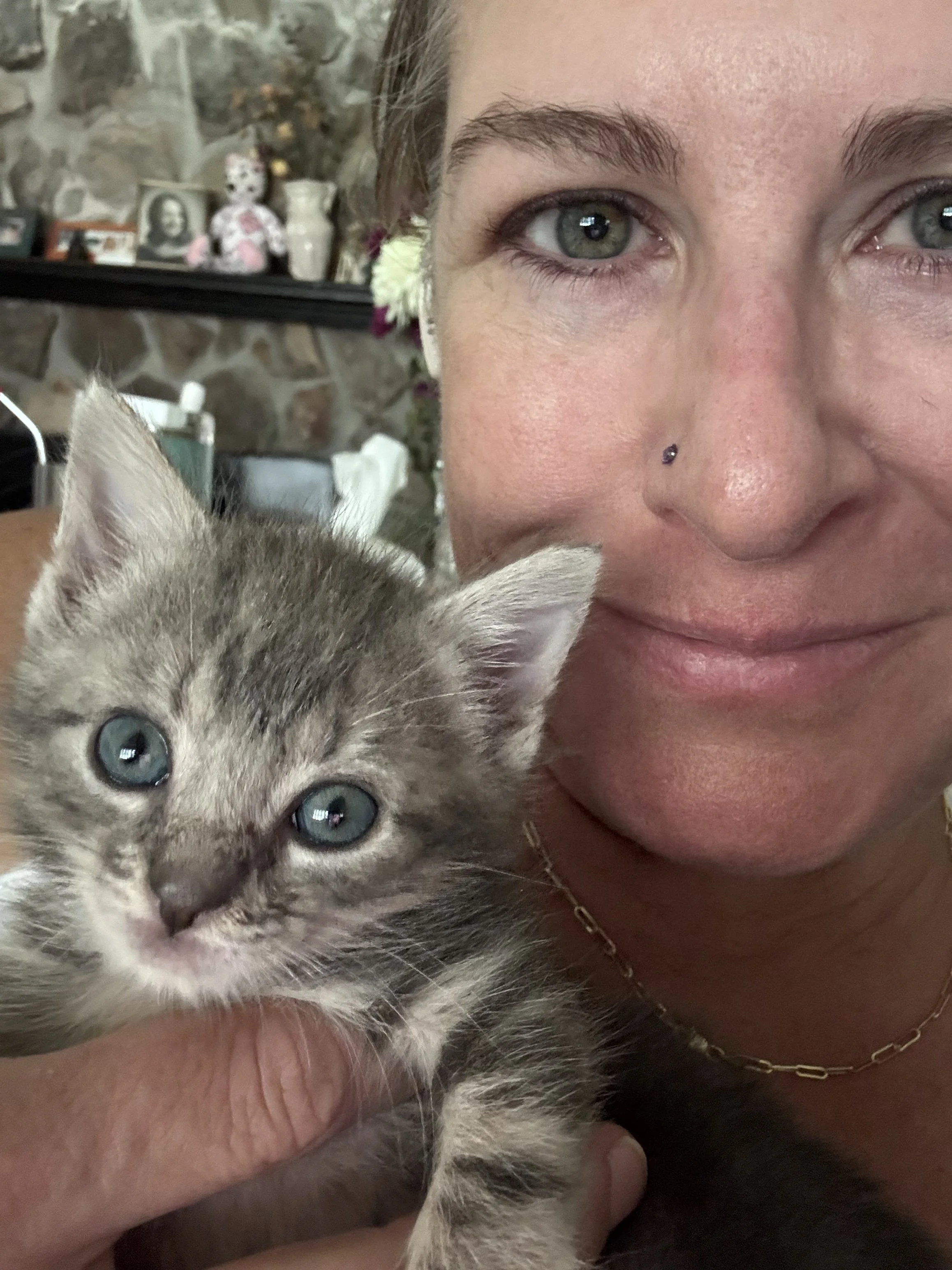 Photo of Rebecca’s face up close with a gray kitten with blue eyes in her hand