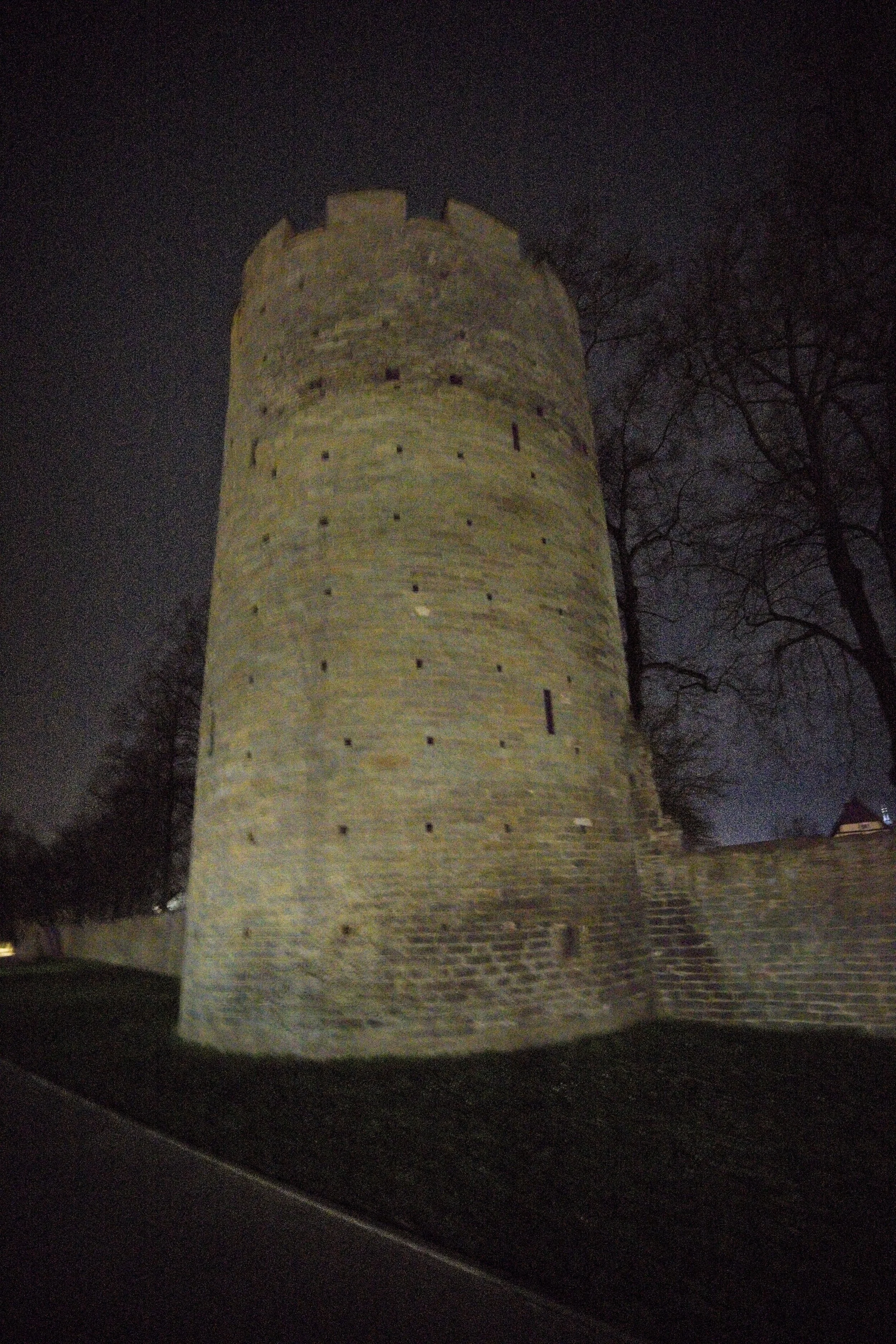 DSC00109.jpg
