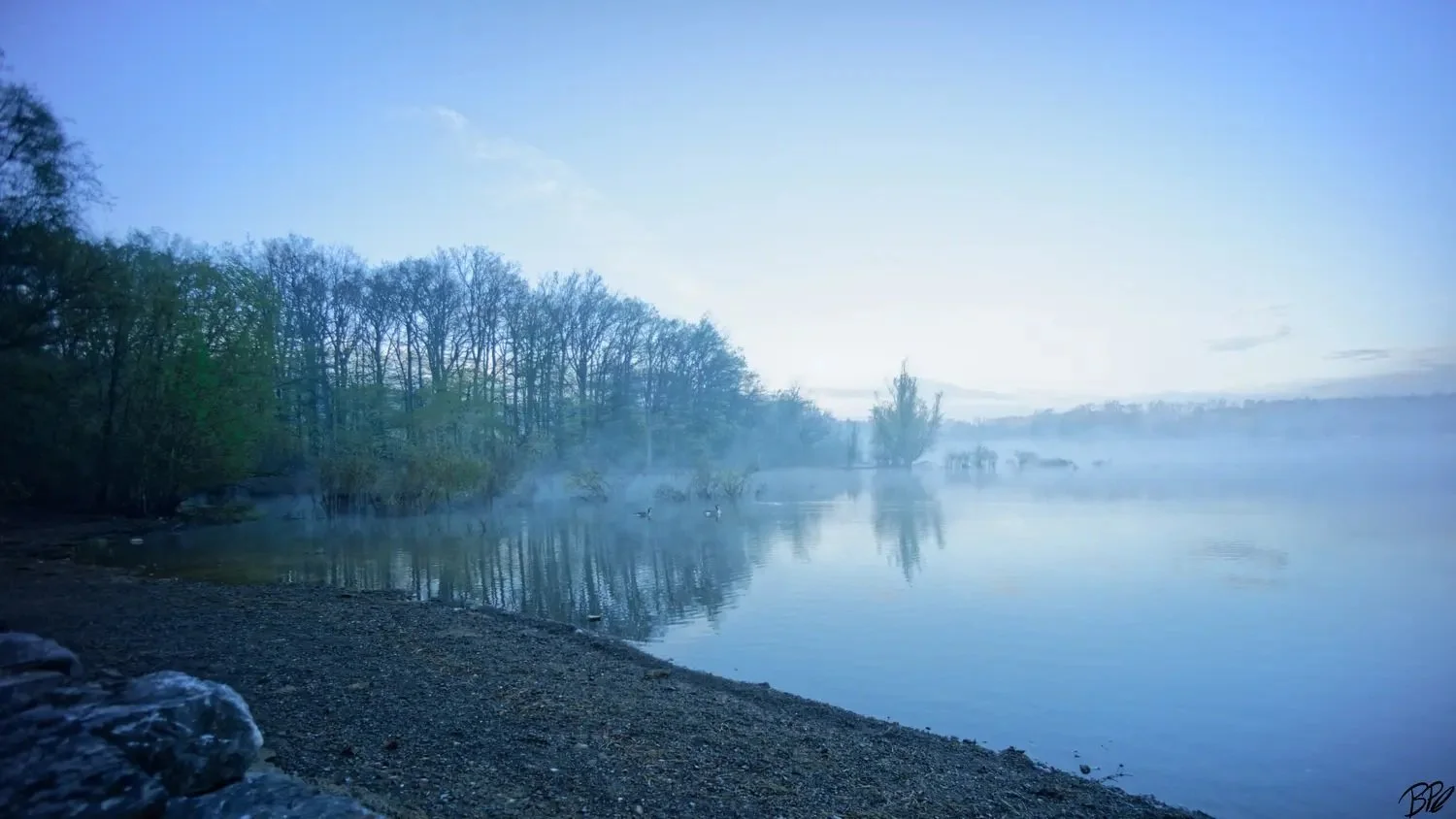 Kavyar Möhne mit nebel.jpg