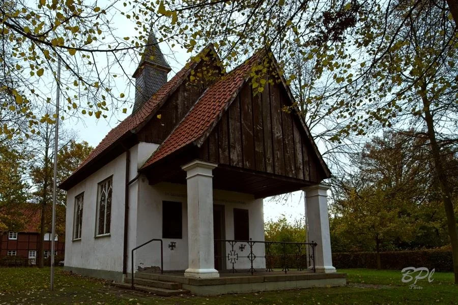 DSC0336201 Nov, 2025 1.jpg