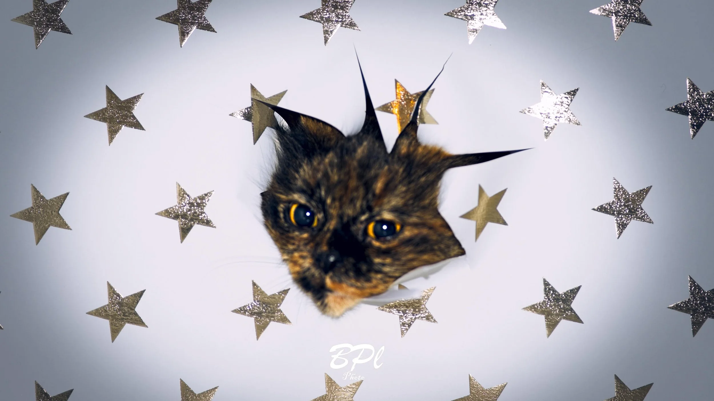 DSC0439724 Dec, 2025.jpg