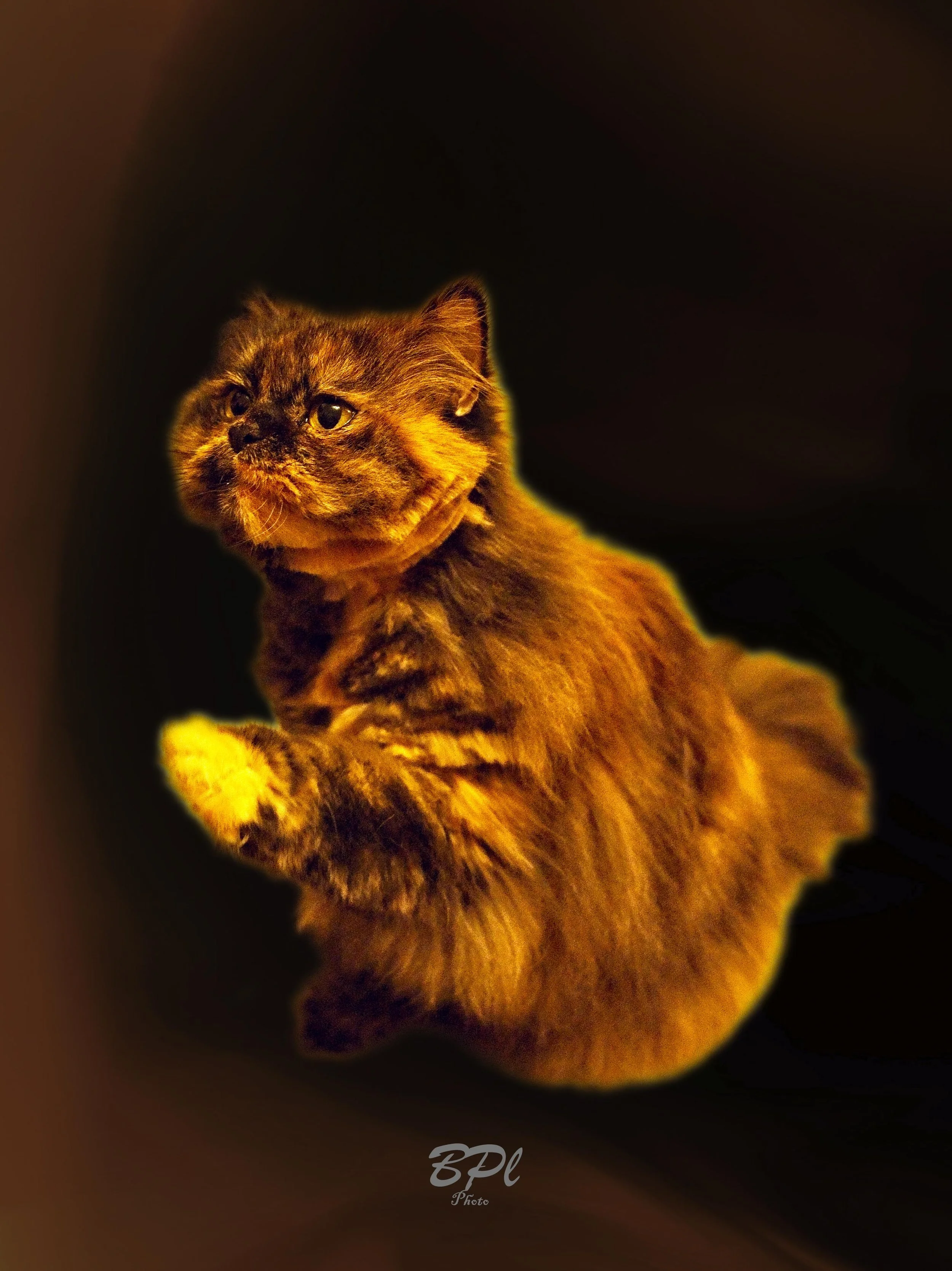 DSC0469410 Feb, 2026.jpg