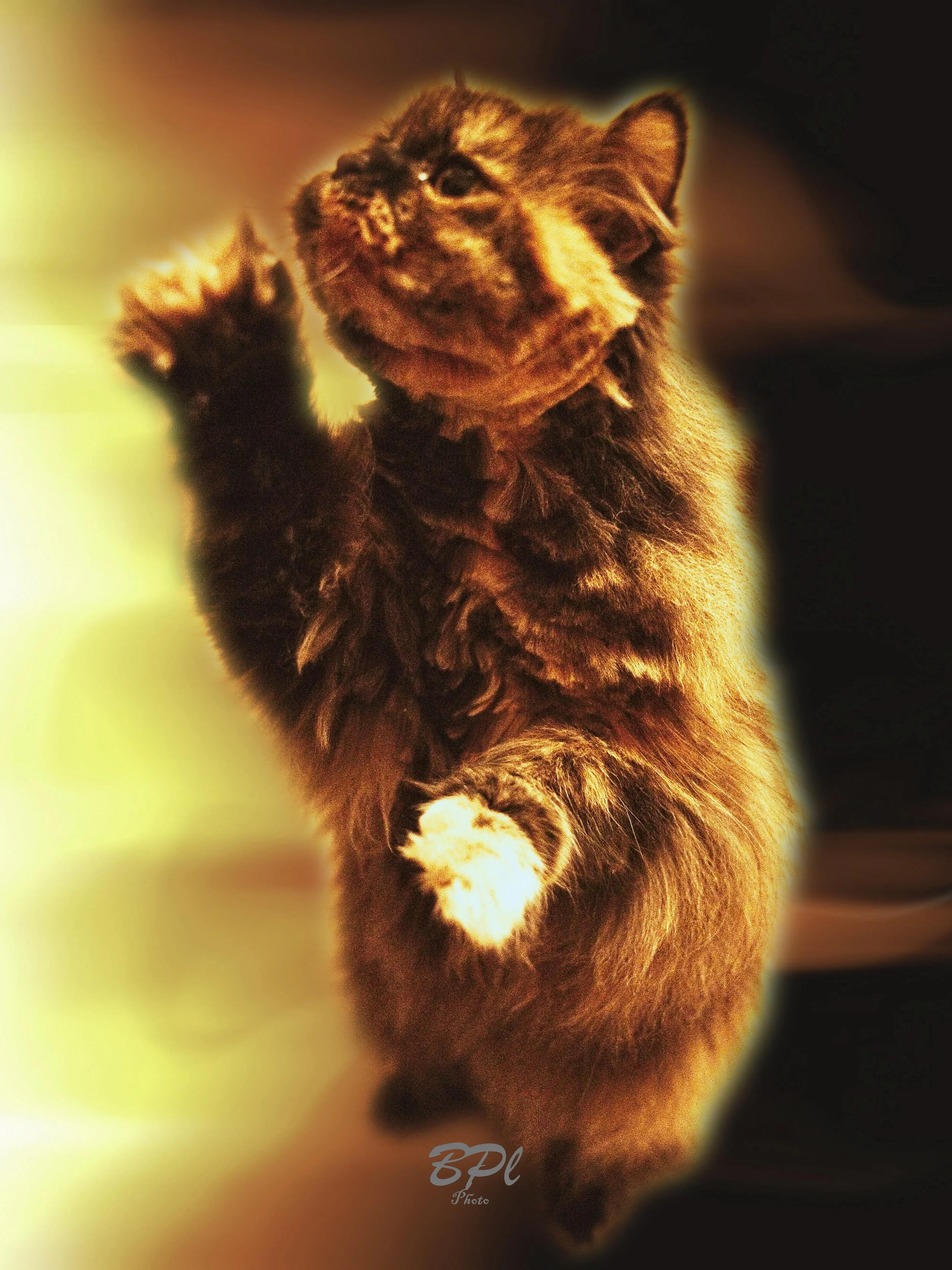 DSC0469810 Feb, 2026.jpg