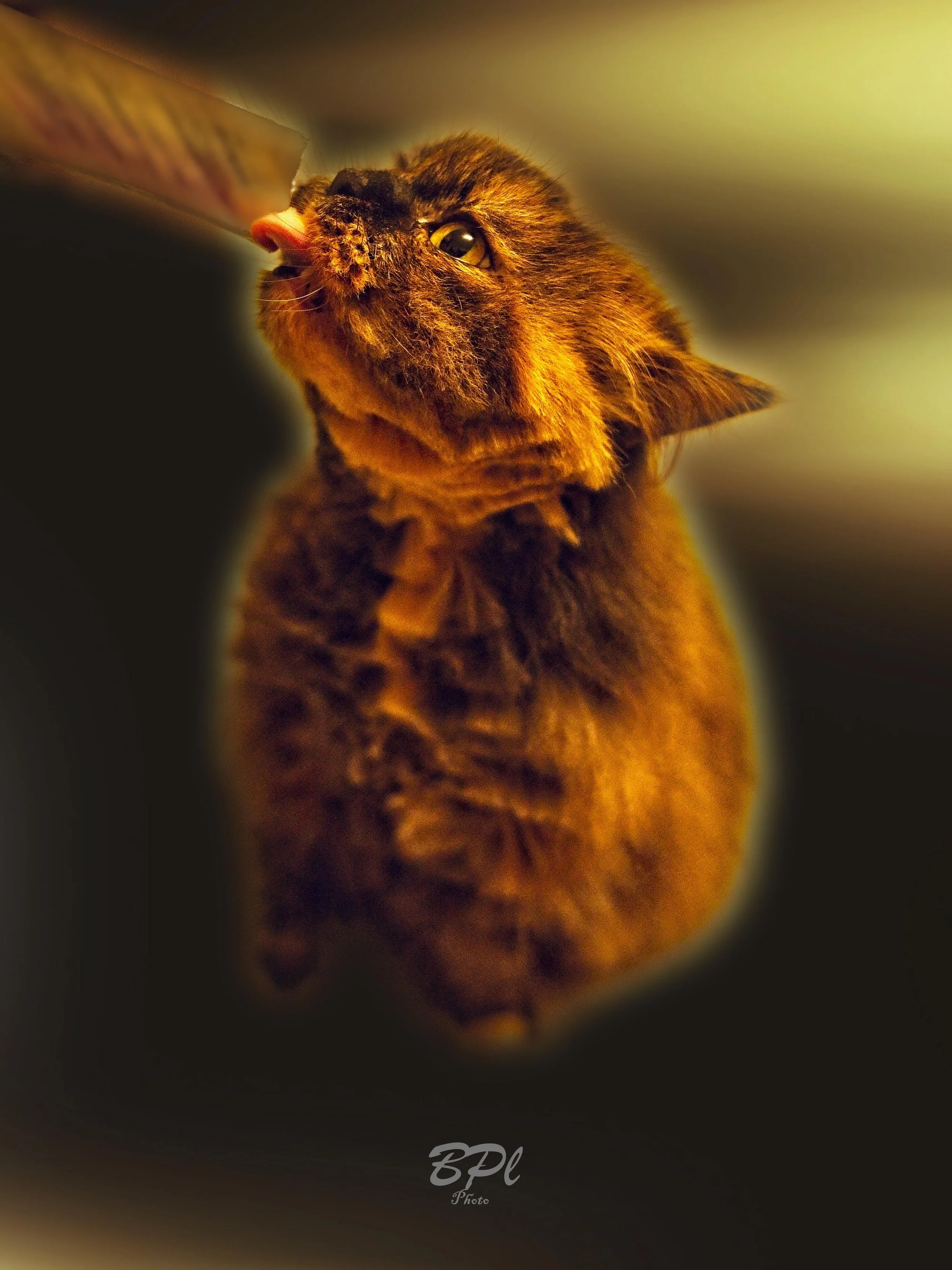 DSC0469610 Feb, 2026.jpg