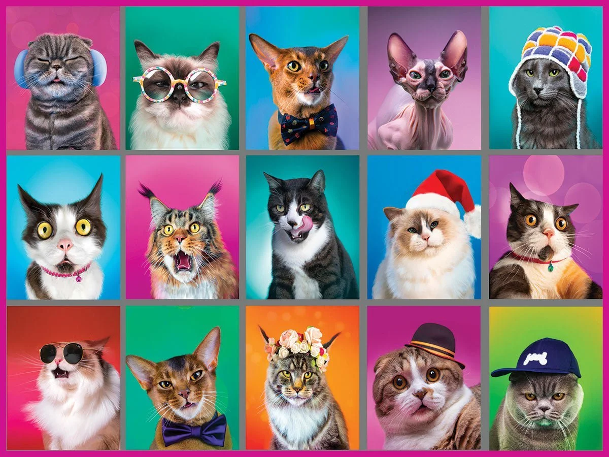 1850_cat_portraits_1200-964998_1296x.jpg