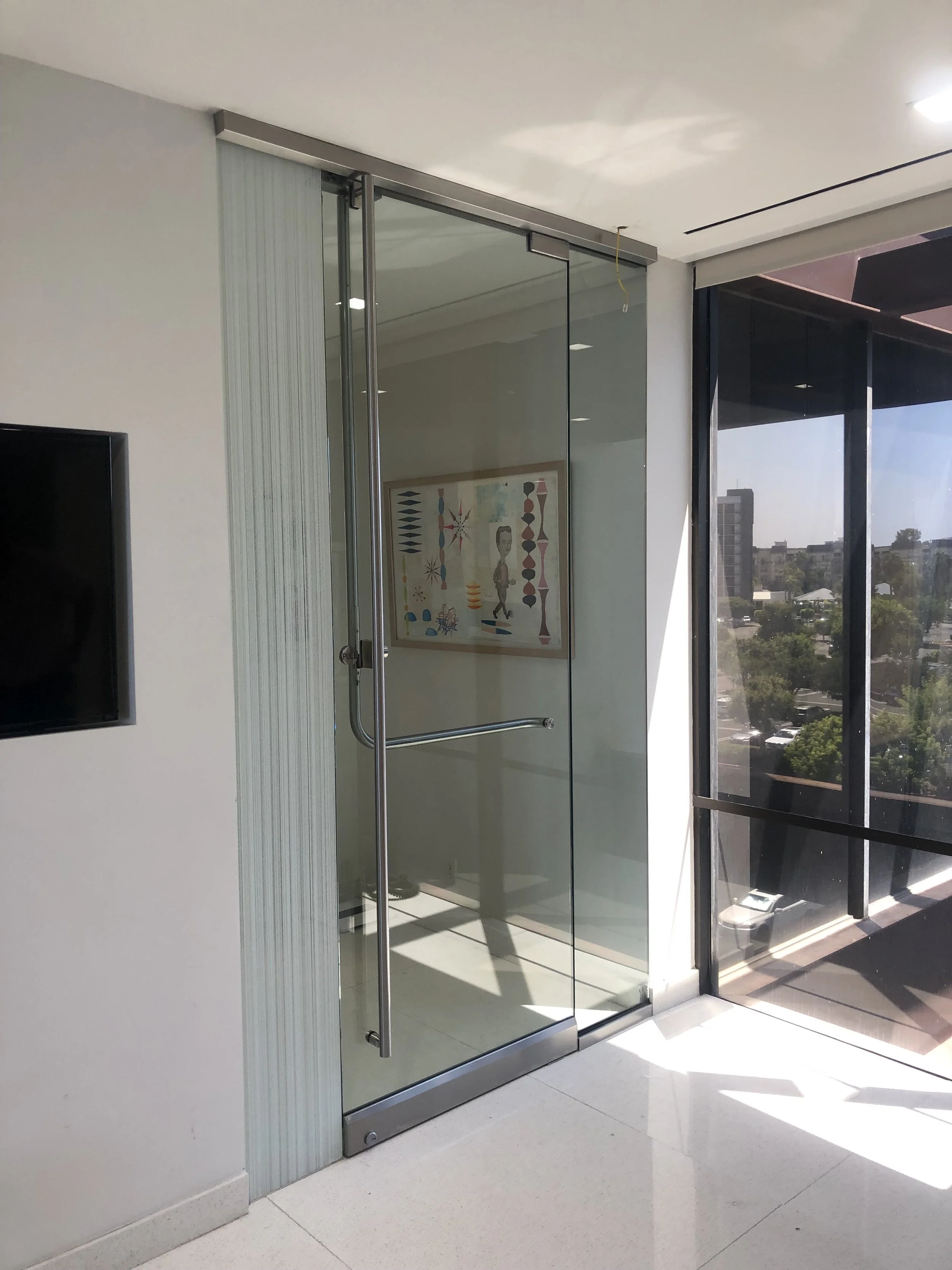 Entri door frameless door and panel.jpeg