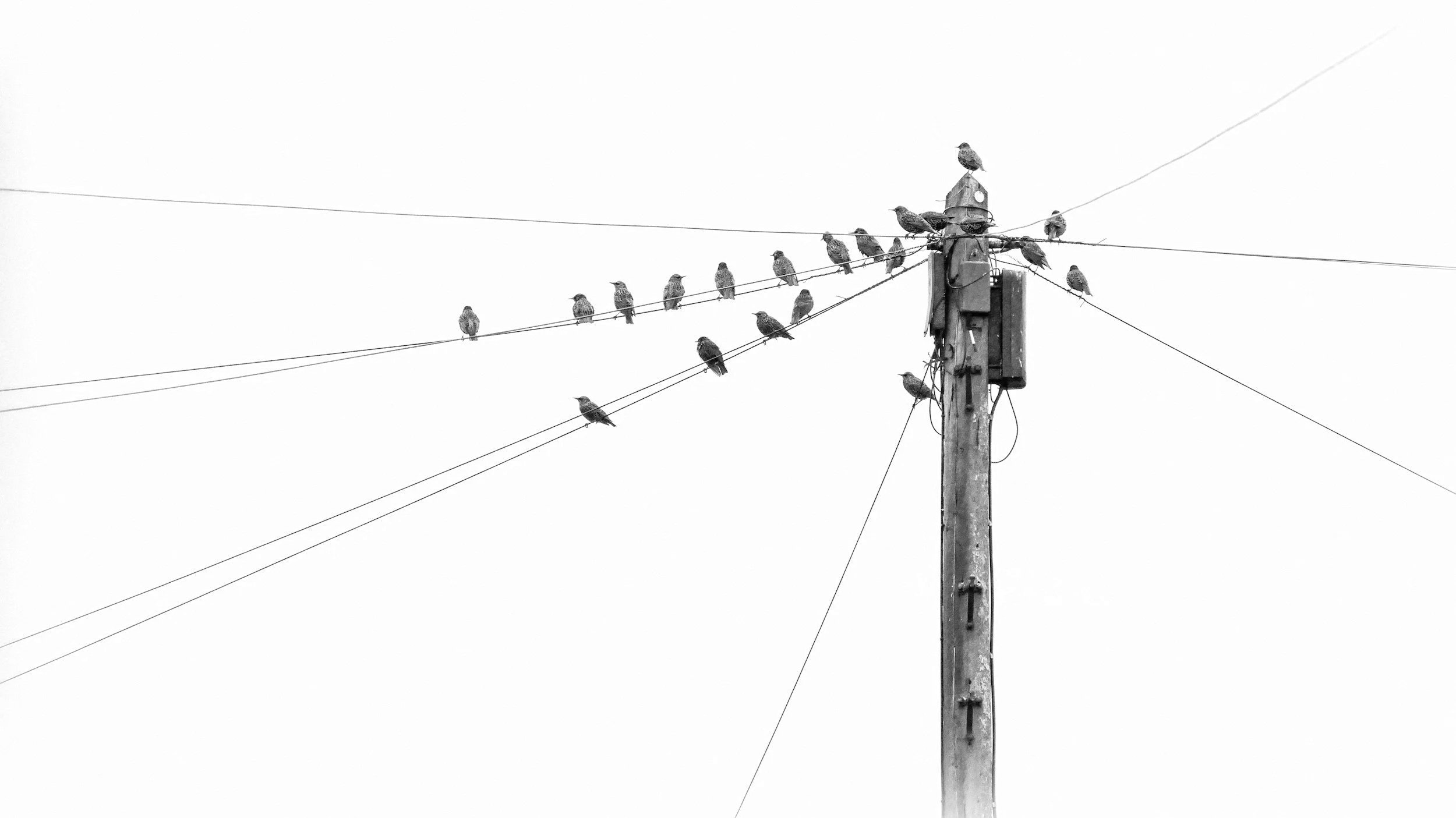 Lisa Axios helps improve your team's communication