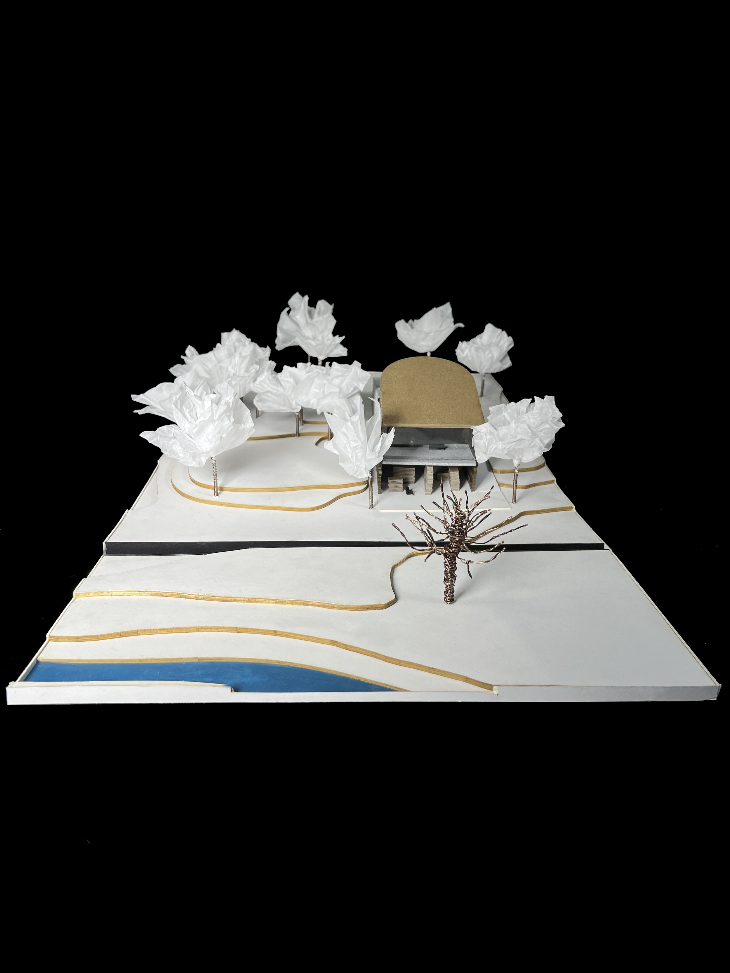model image 4.png