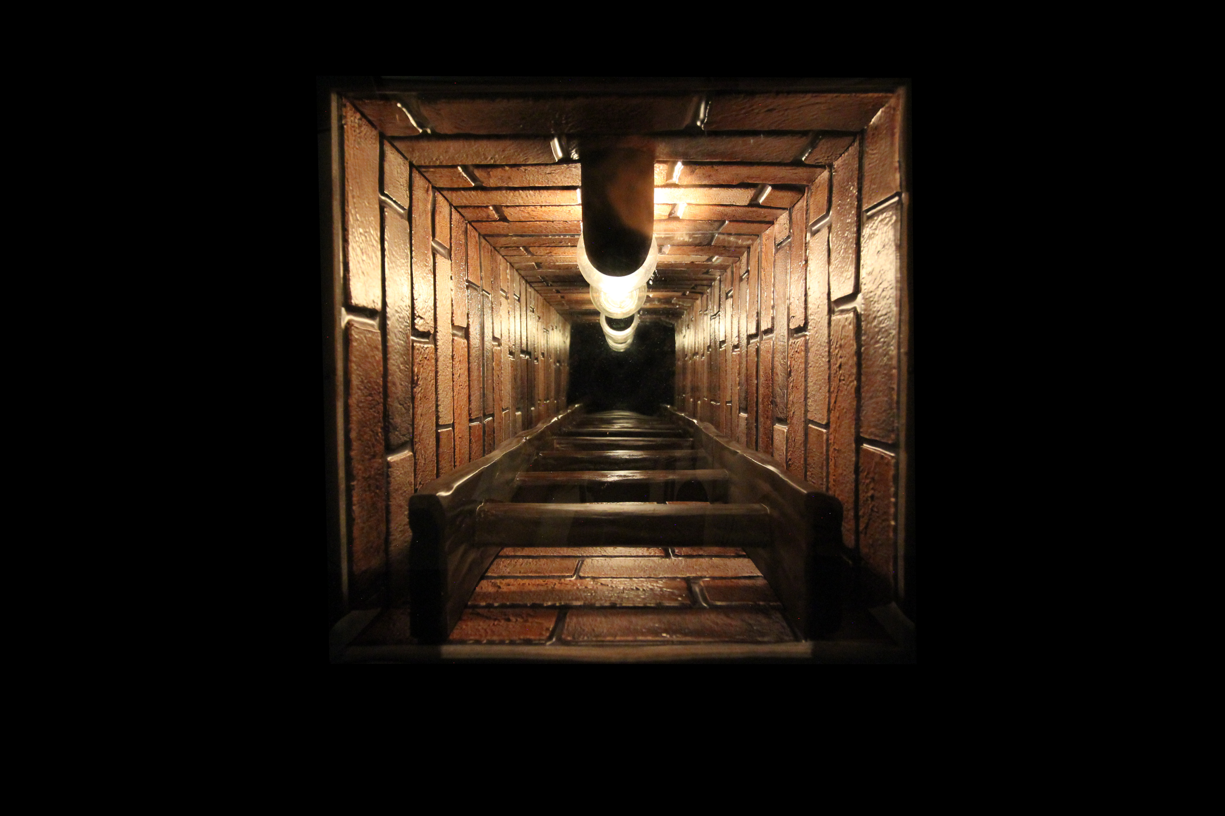 top_perspective_1.2.png