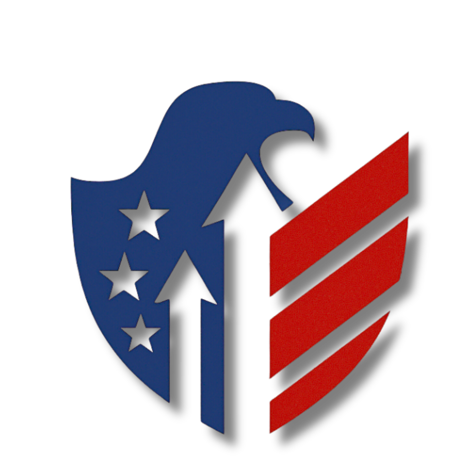 Elvis Casely For Congress