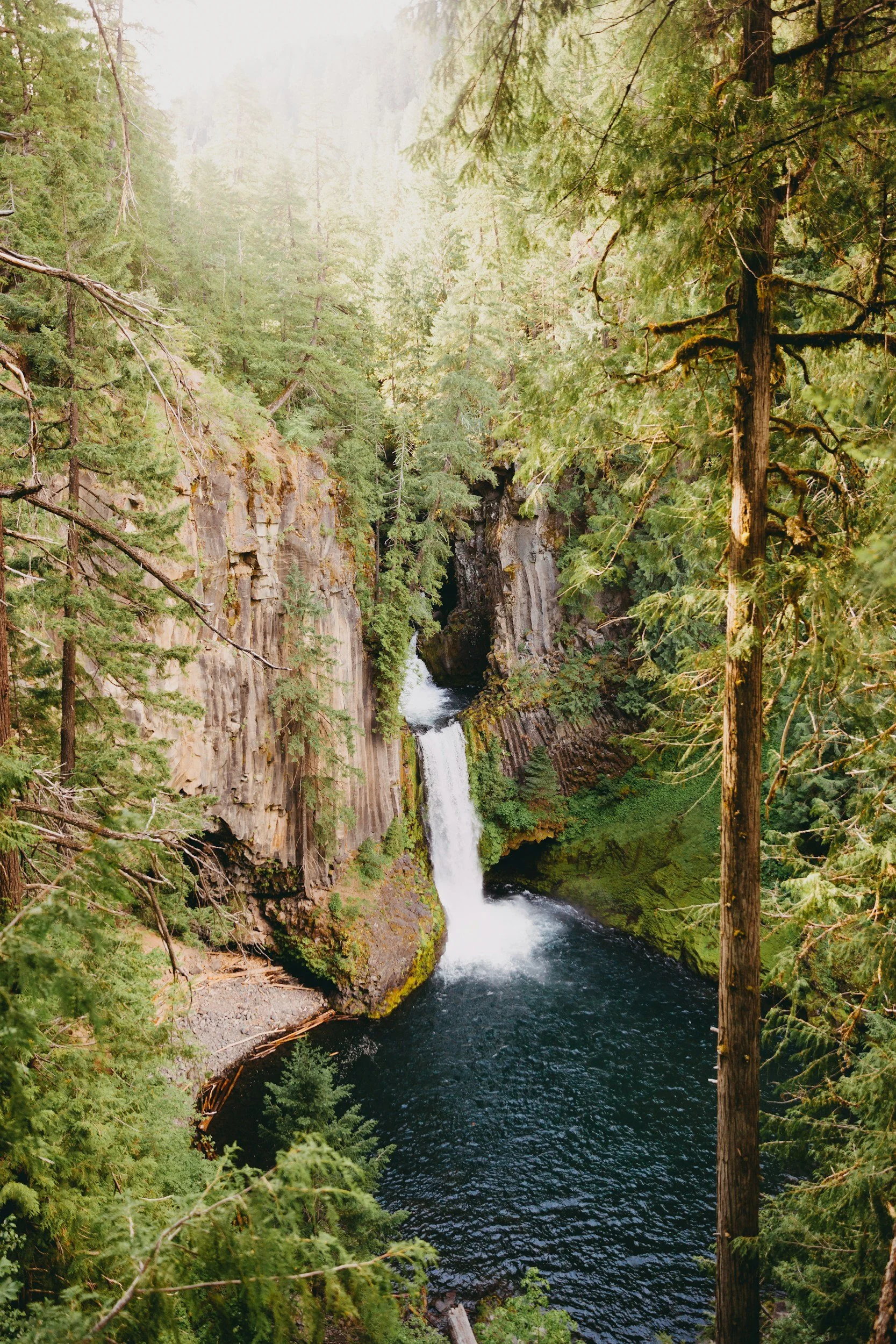 Oregon waterfall in the forest with trees and lake.