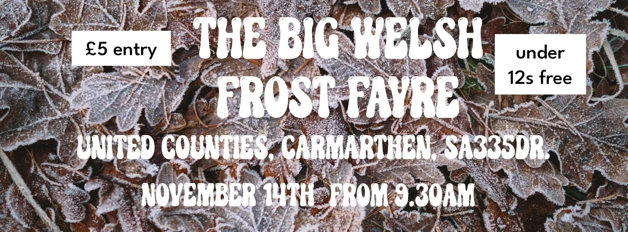 The Big Welsh Frost Fayre