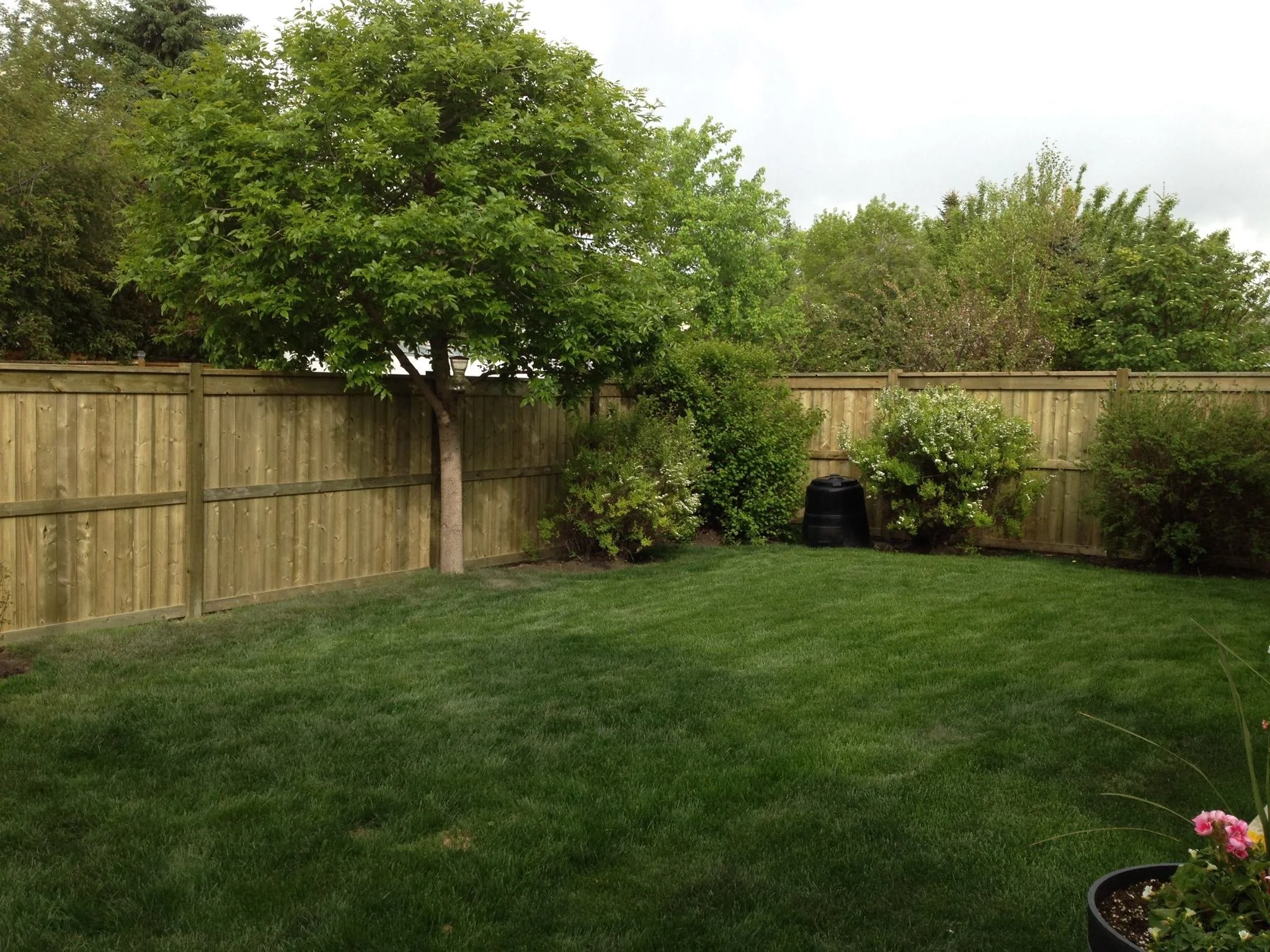 Fences