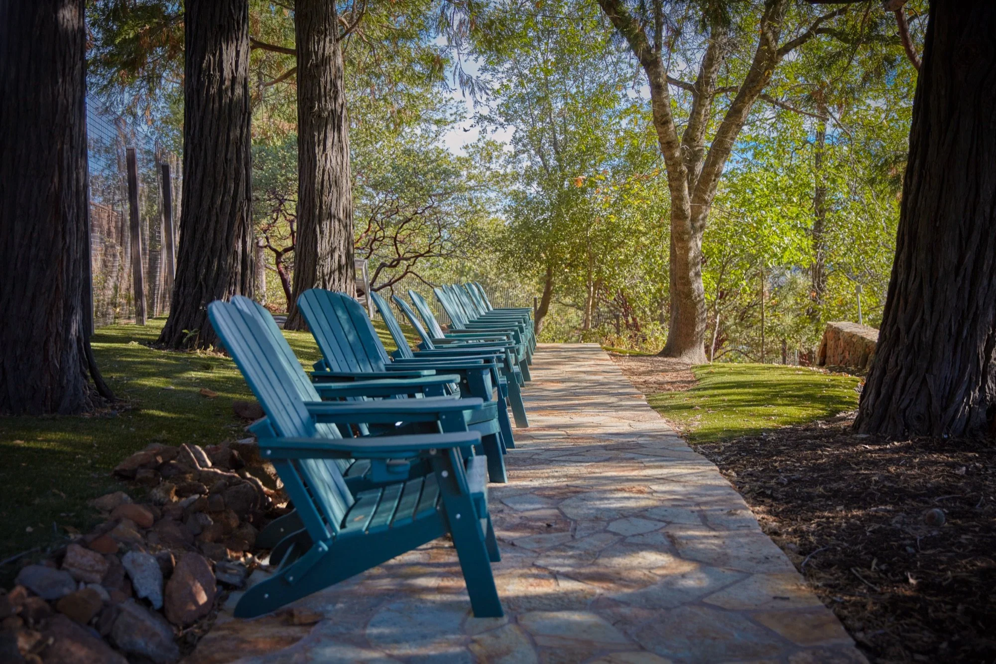 Adirondack chairs lined along a shaded stone path under tall trees.