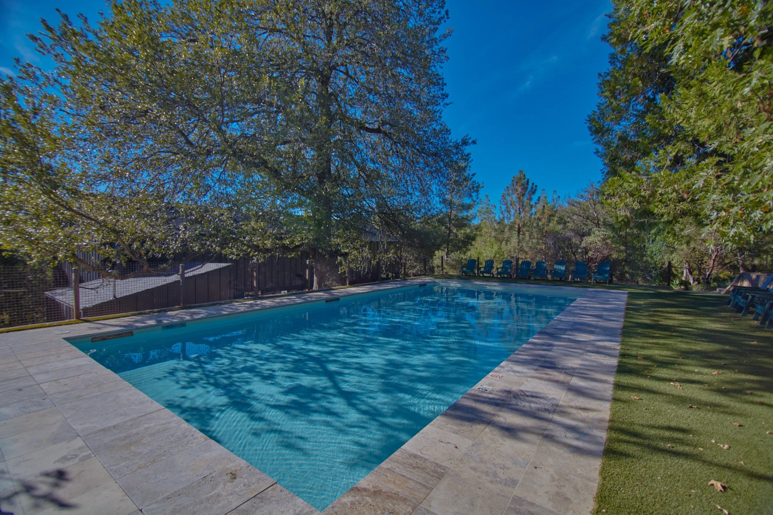 The pool on a sunny afternoon, with stone coping and trees overhead.