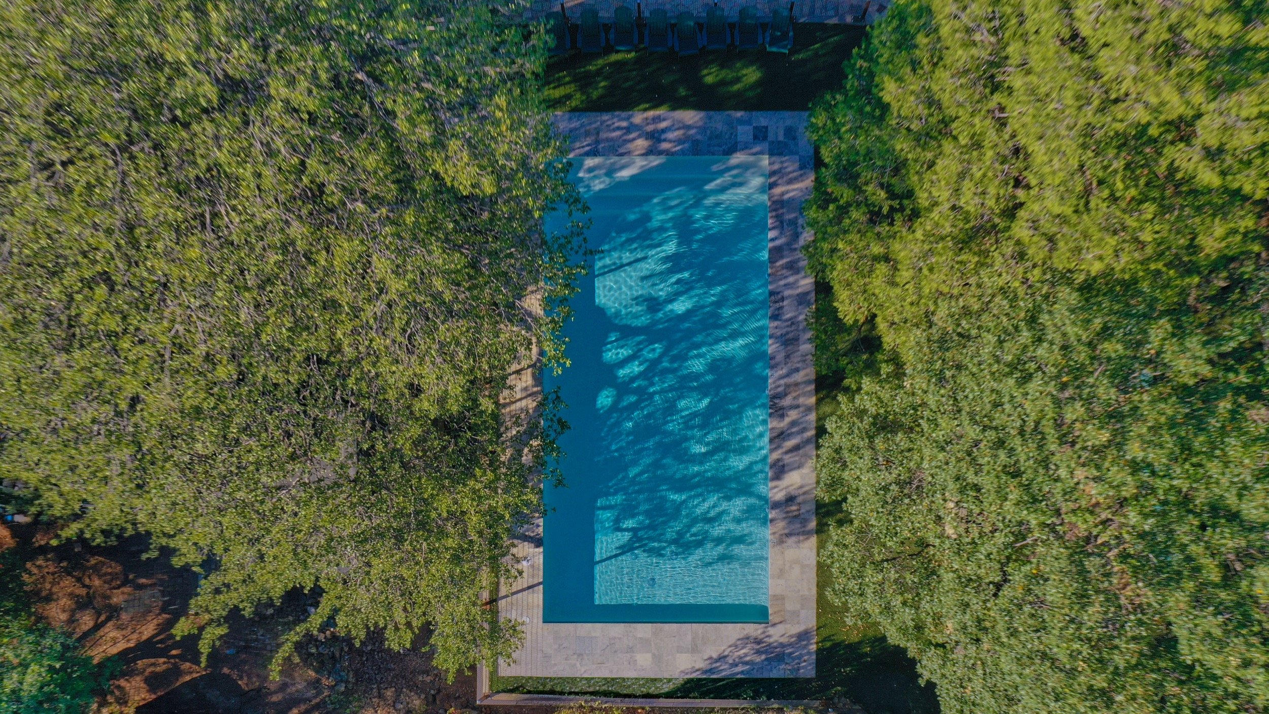 Aerial view looking straight down on the pool, surrounded by trees.
