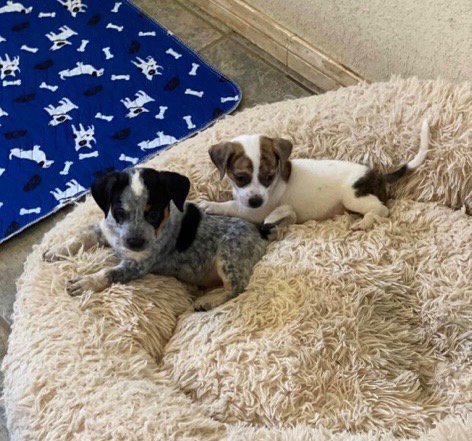 Screenshot 2022-09-08 at 3.18.33 PM.jpeg