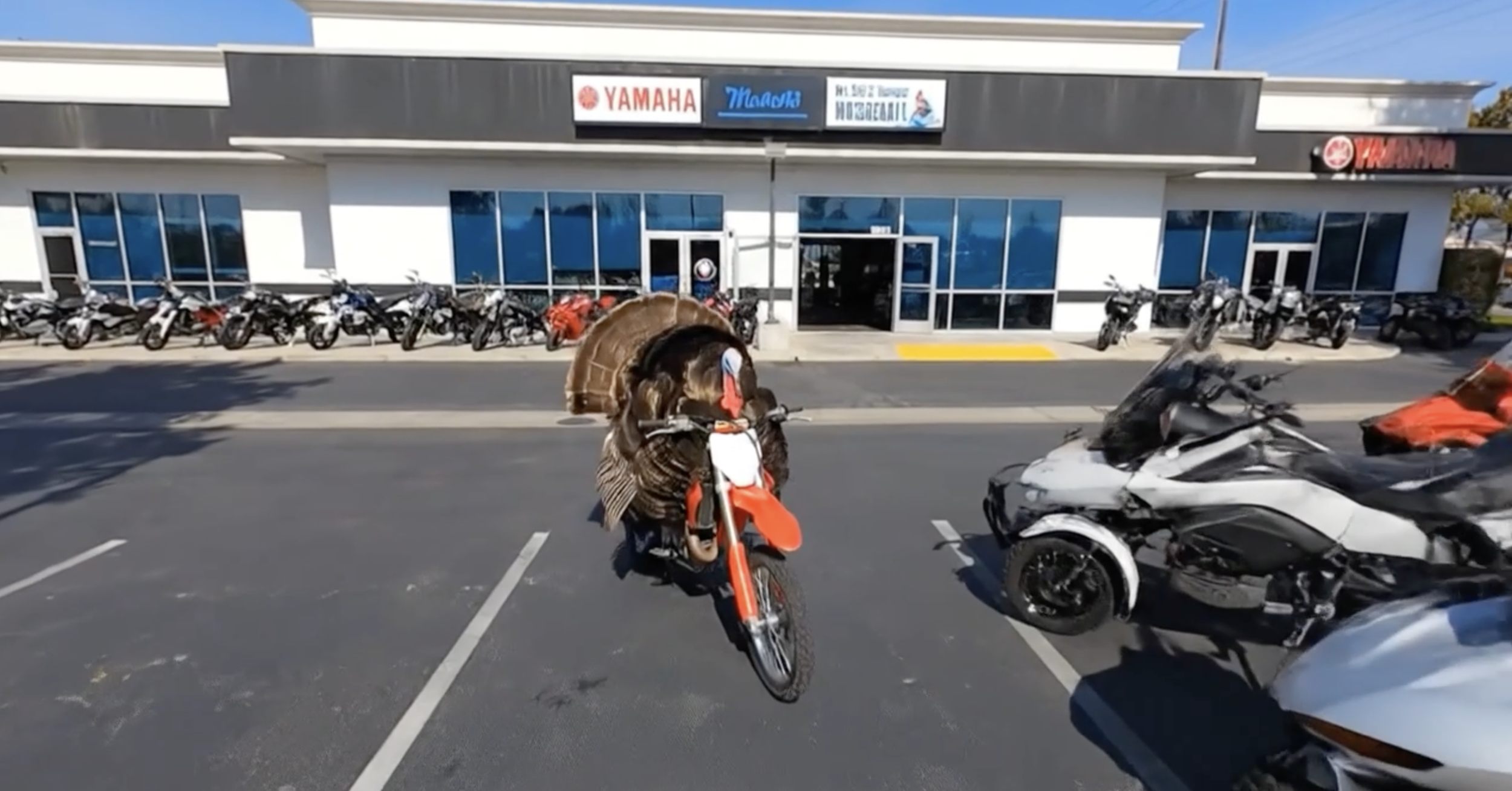 Holiday and Event Posts