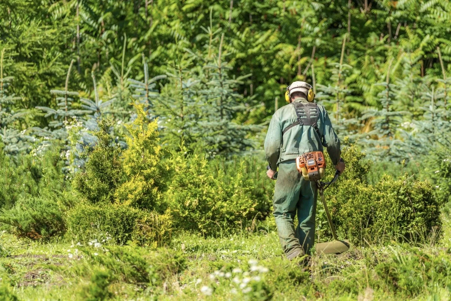 Pristine Green Gardens - 19.jpeg