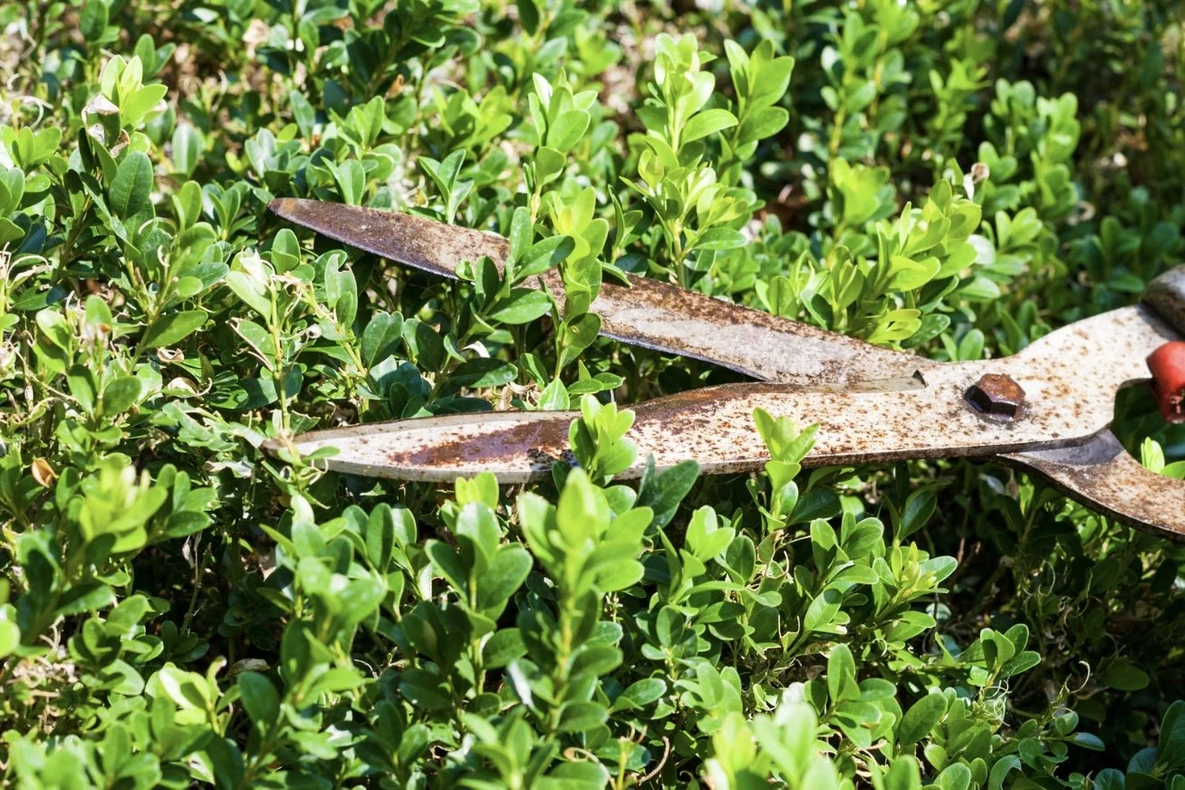 Pristine Green Gardens - 24.jpeg