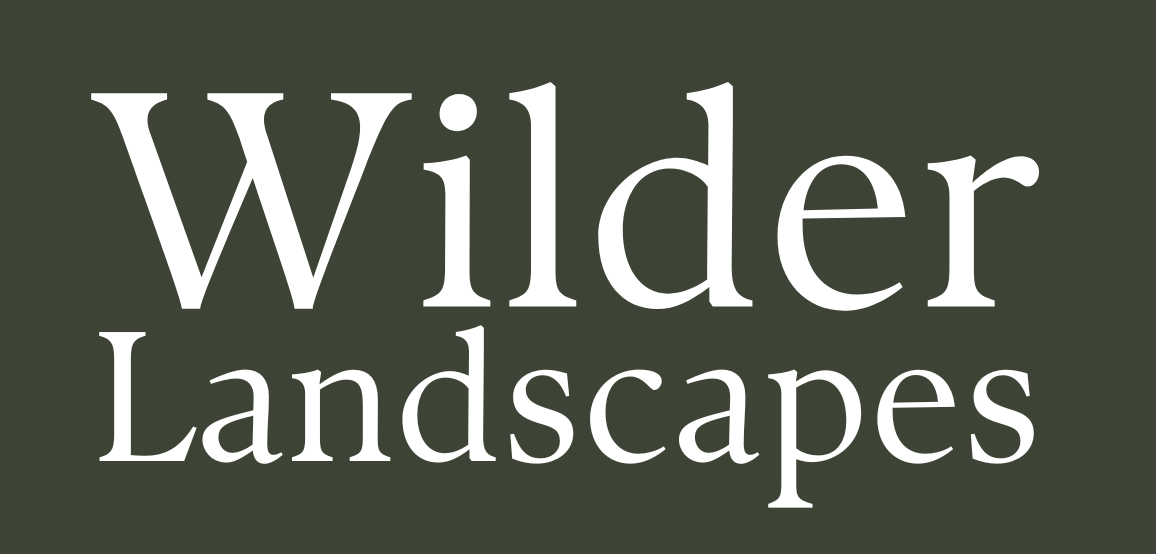 Wilder Landscapes
