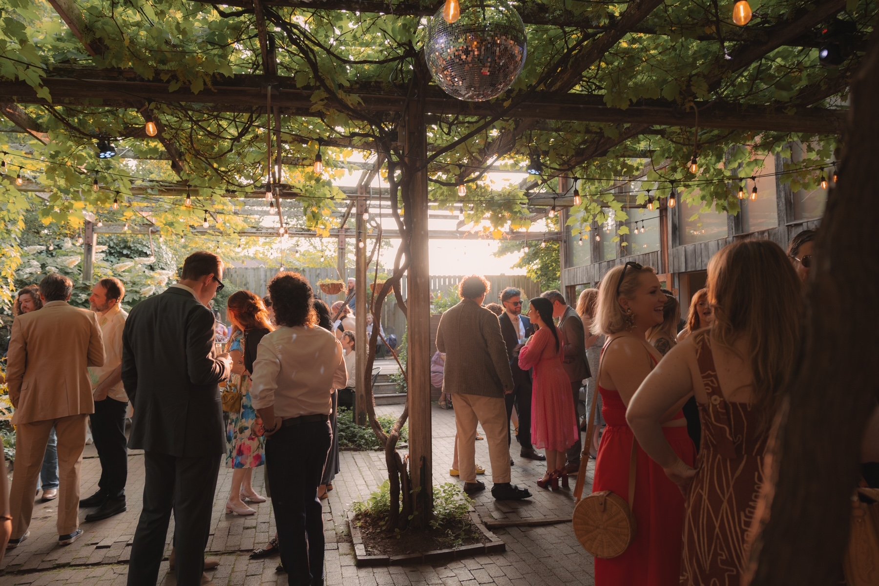 People gathered under a vine-covered outdoor patio with string lights and a disco ball during a social event at sunset.