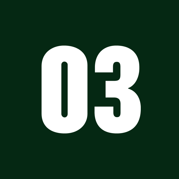 Number 03 on a dark green background.