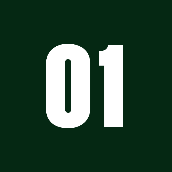 Number 01 in white on a dark green background.