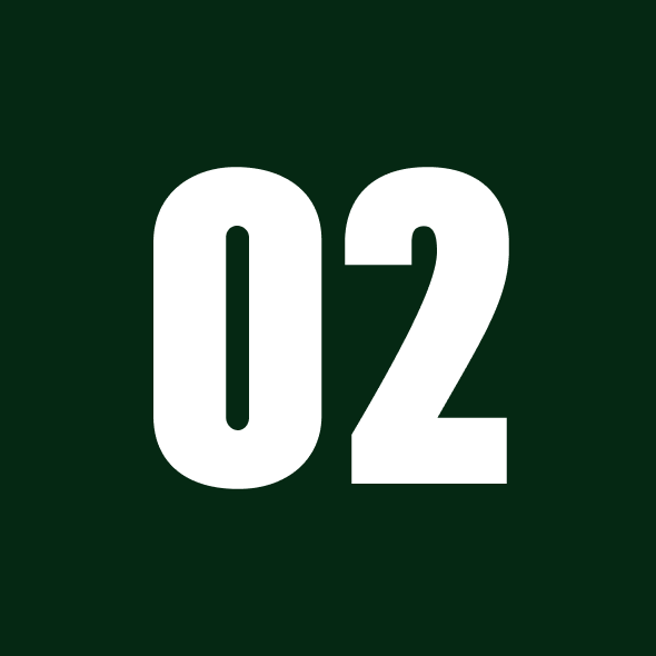 White number '02' on a dark green background.