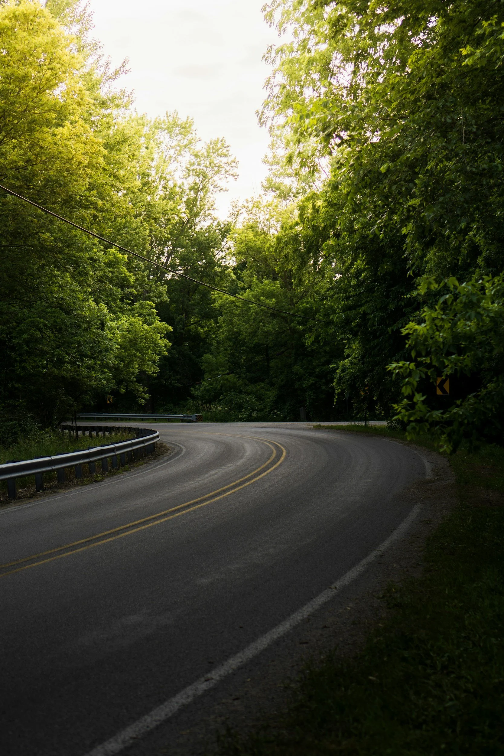 windy road among a wooded area